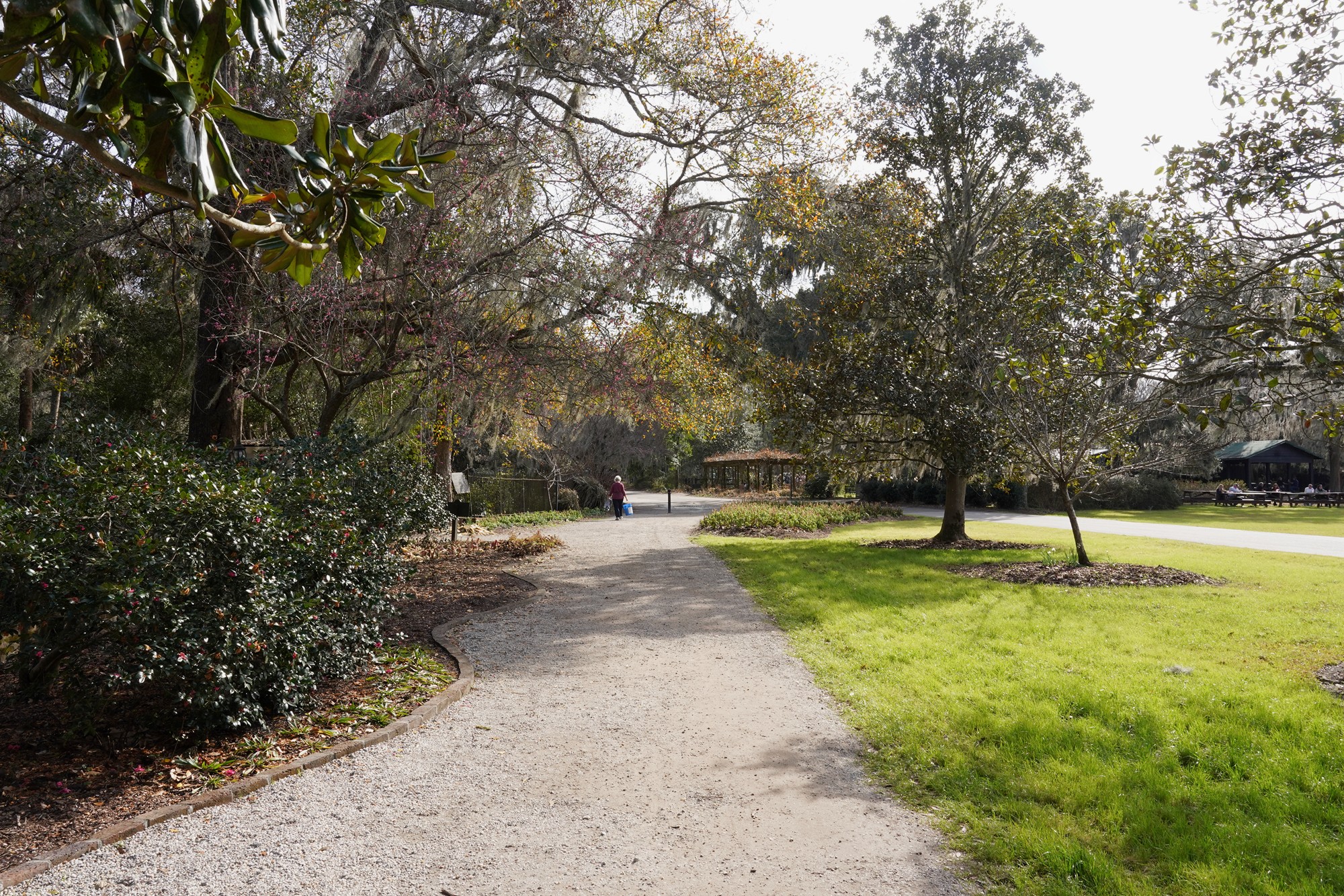 Magnolia Plantation (6)