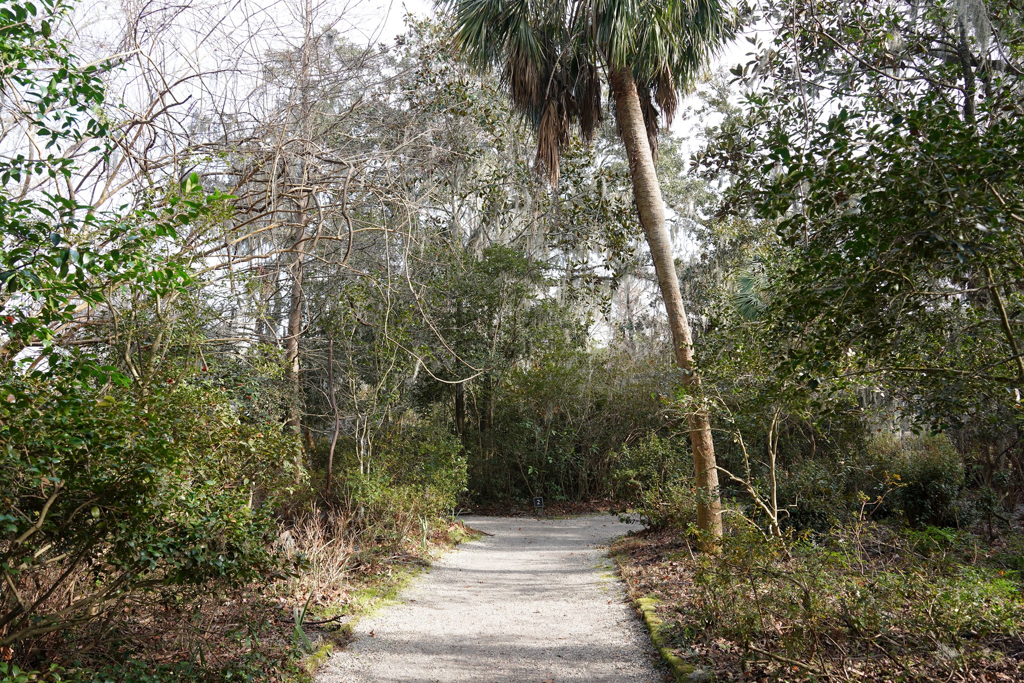 Magnolia Plantation (9)