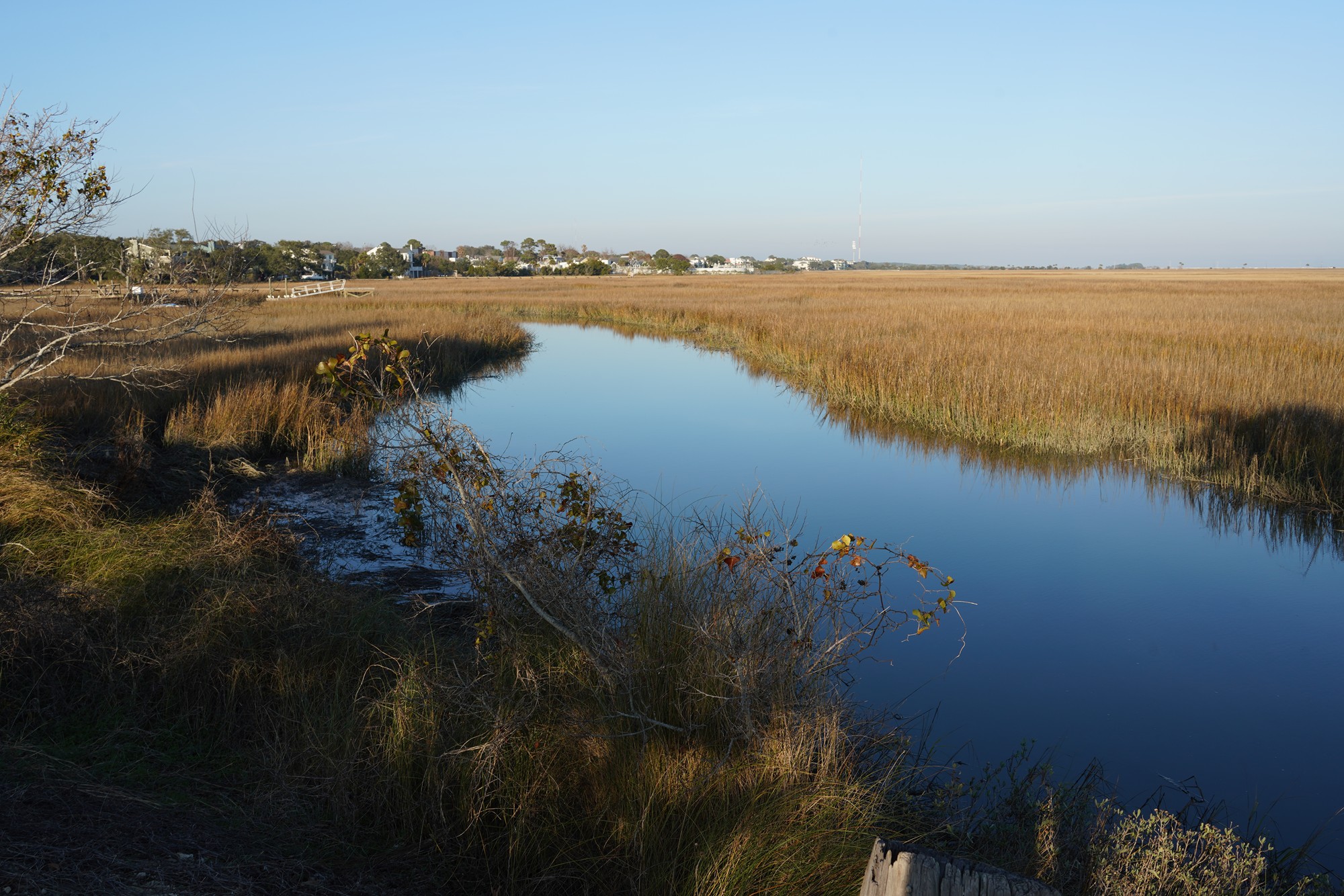 Pitt Street Bridge (1)