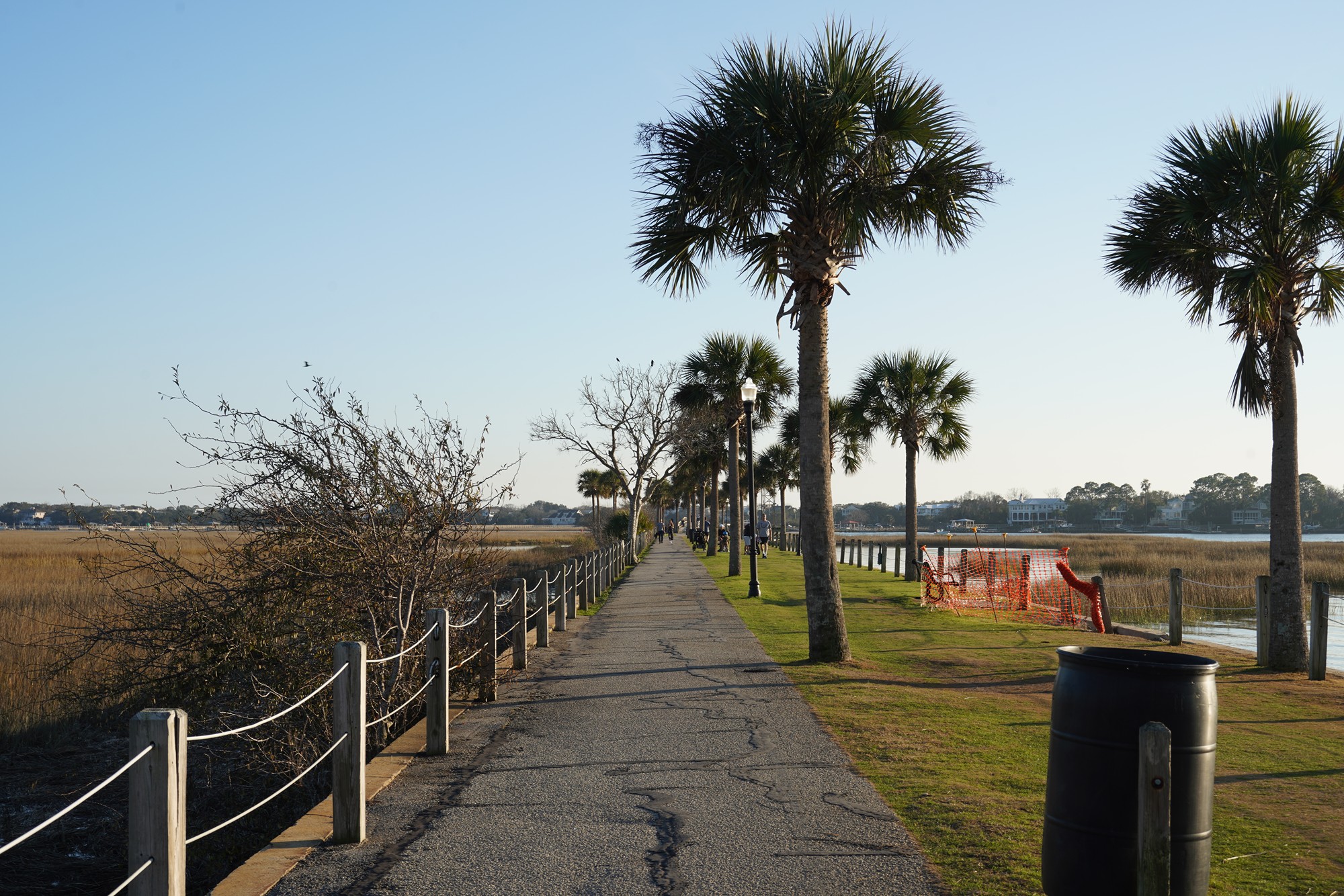 Pitt Street Bridge (10)