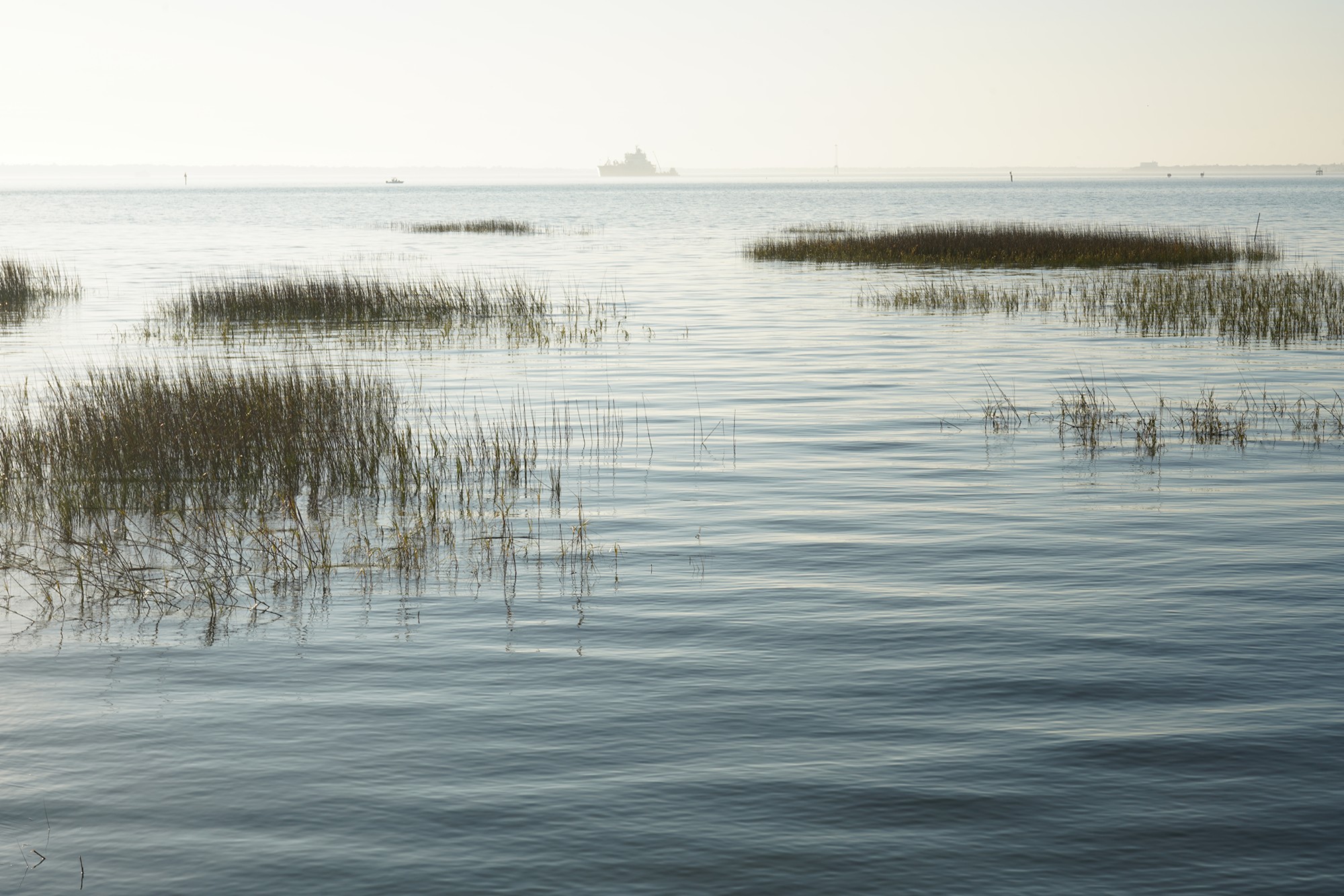 Pitt Street Bridge (11)