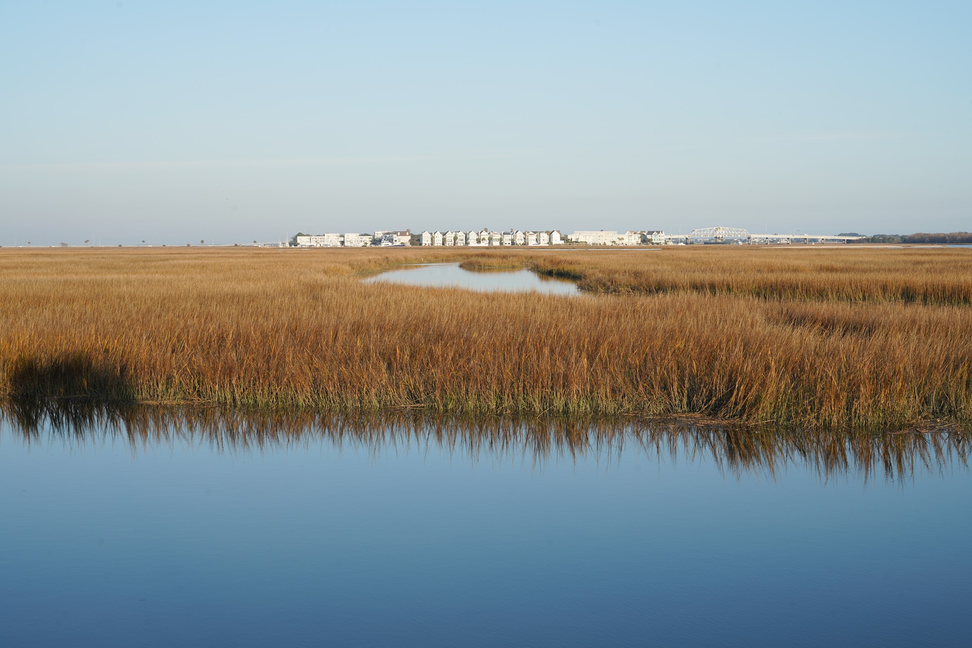 Pitt Street Bridge (12)