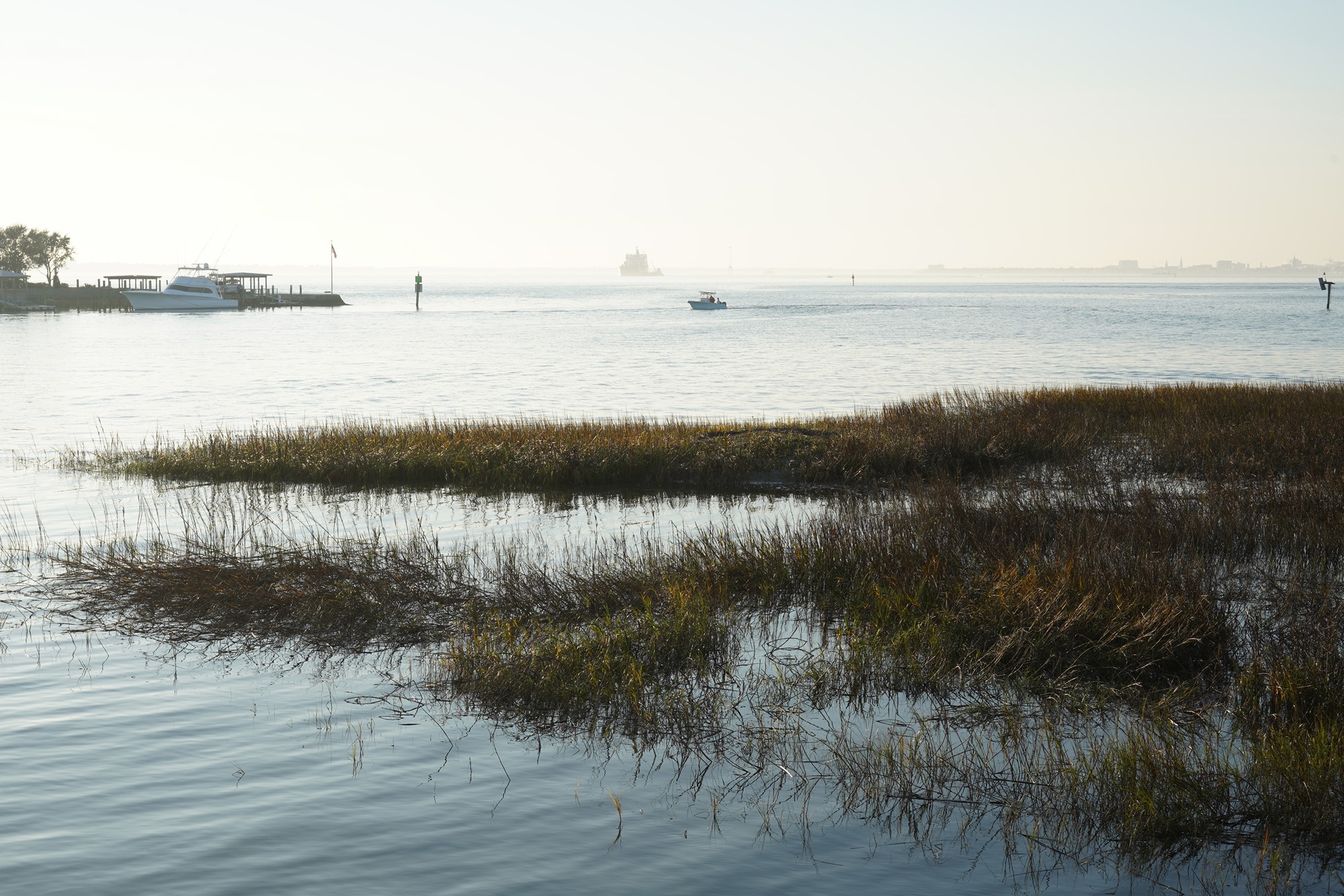 Pitt Street Bridge (18)