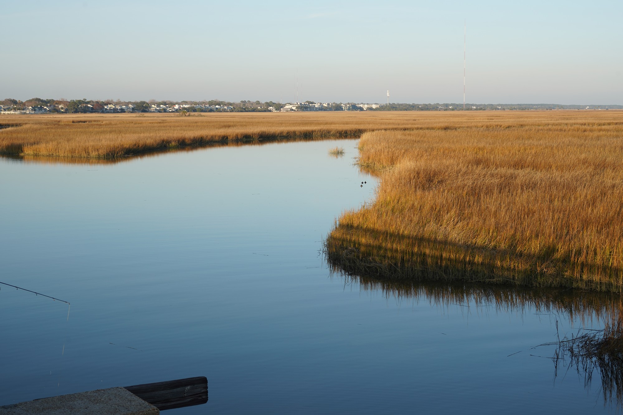 Pitt Street Bridge (19)