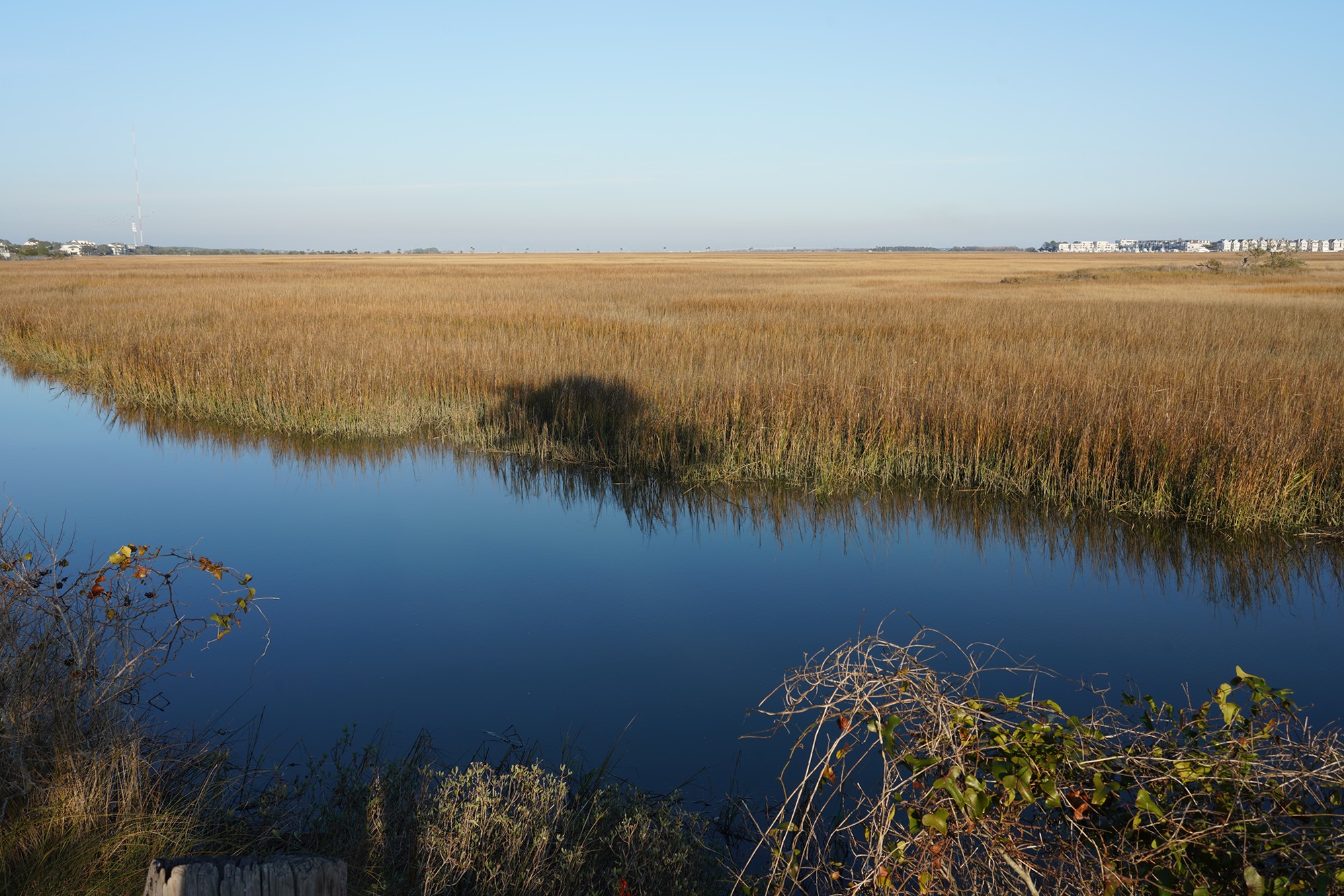 Pitt Street Bridge (2)