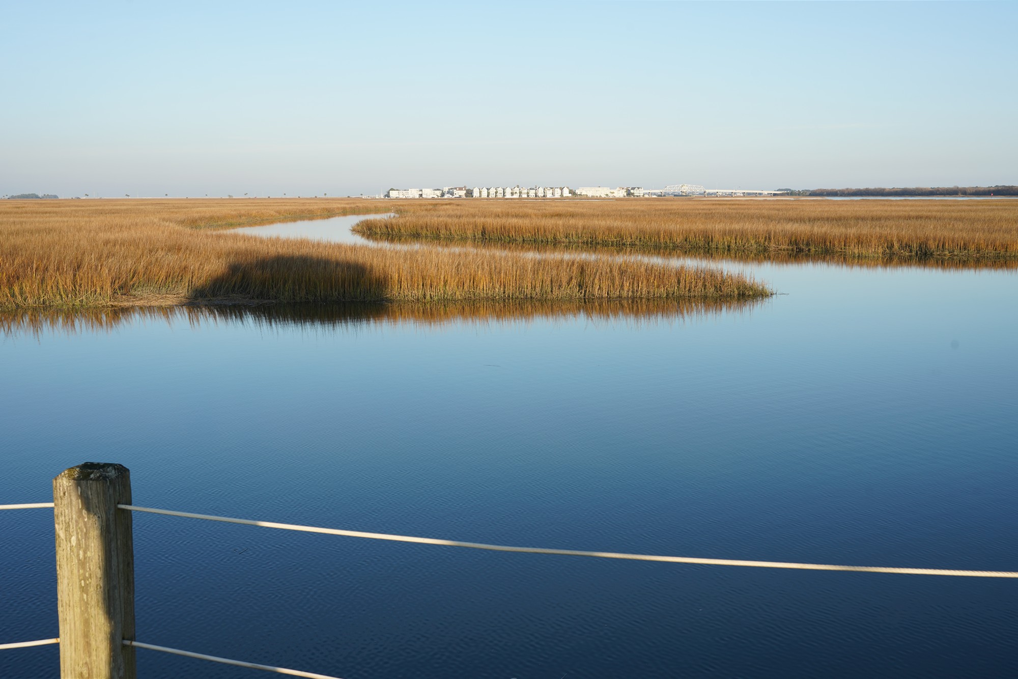 Pitt Street Bridge (20)