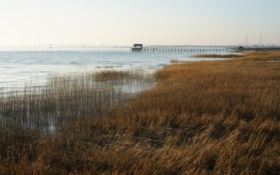 Pitt Street Bridge, Mt Pleasant, South Carolina, USA