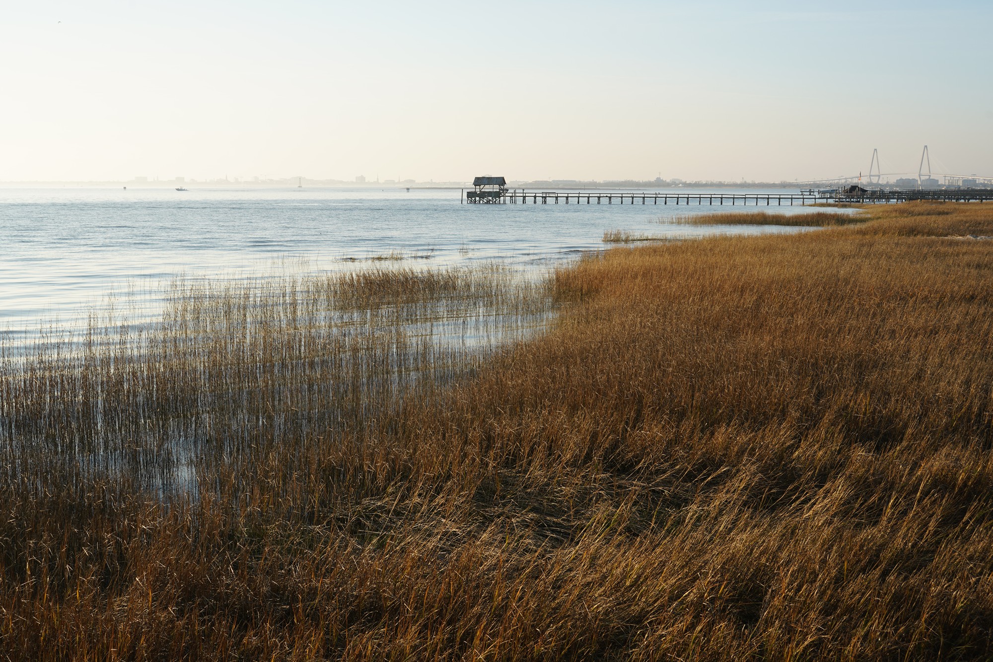 Pitt Street Bridge (21)
