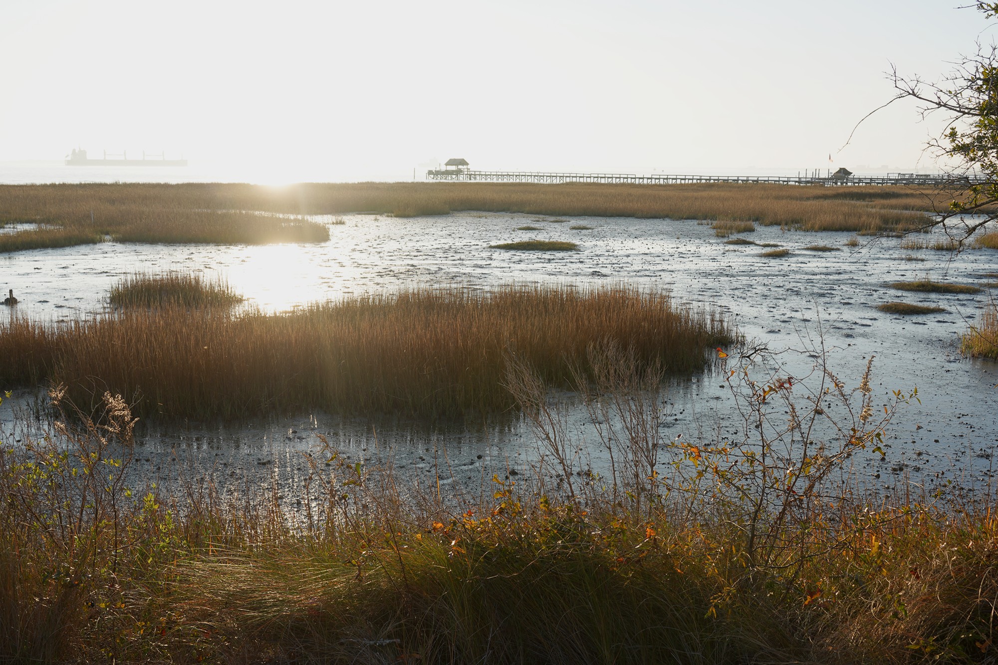 Pitt Street Bridge (22)