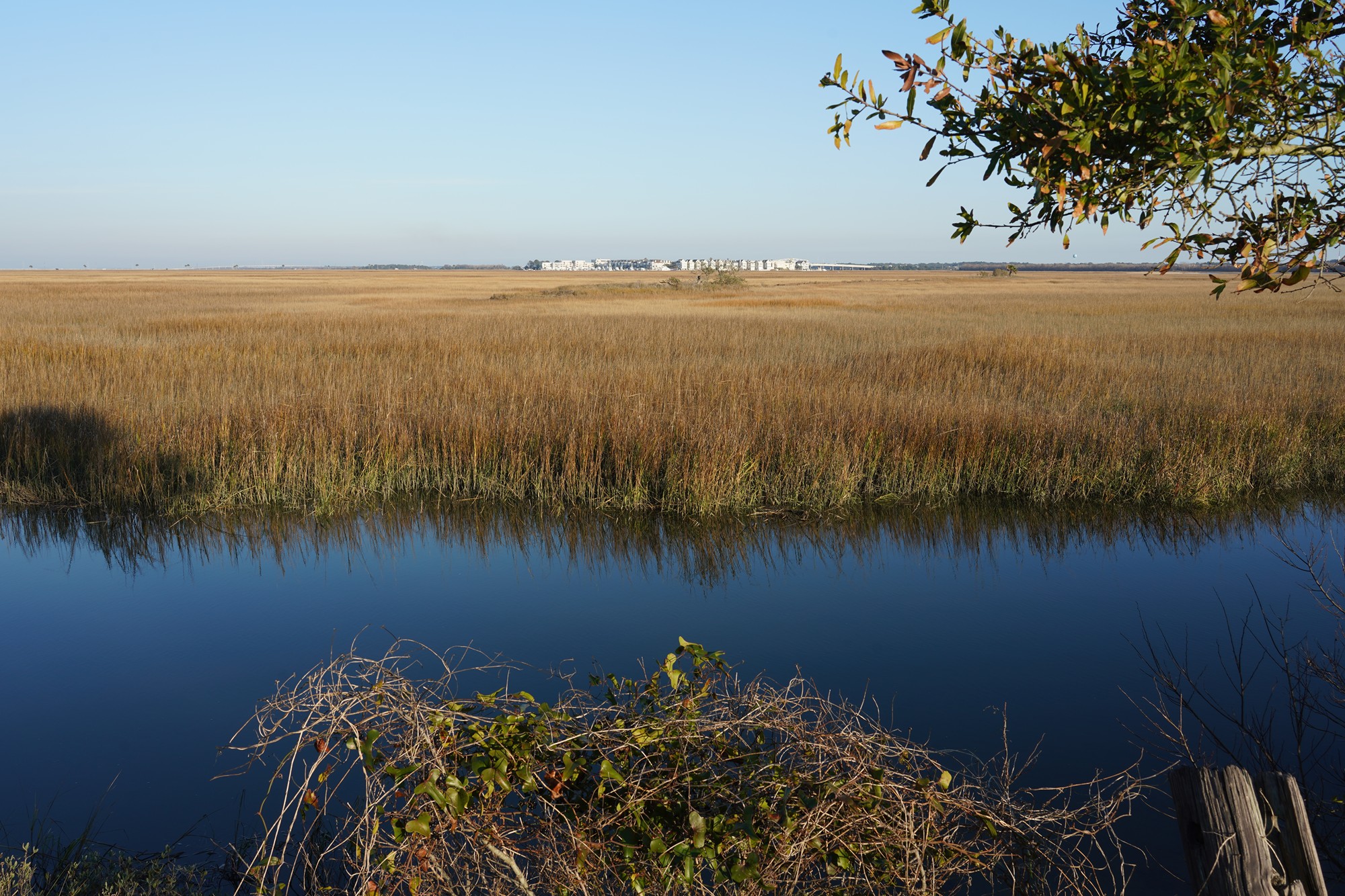 Pitt Street Bridge (3)