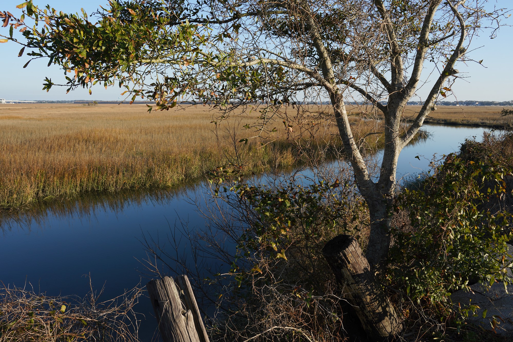 Pitt Street Bridge (4)