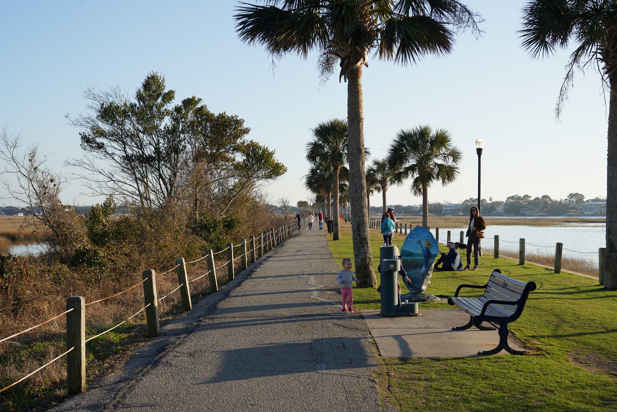 Pitt Street Bridge (5)