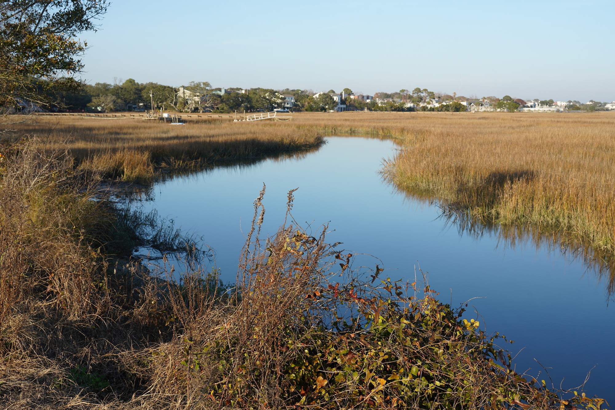 Pitt Street Bridge (6)