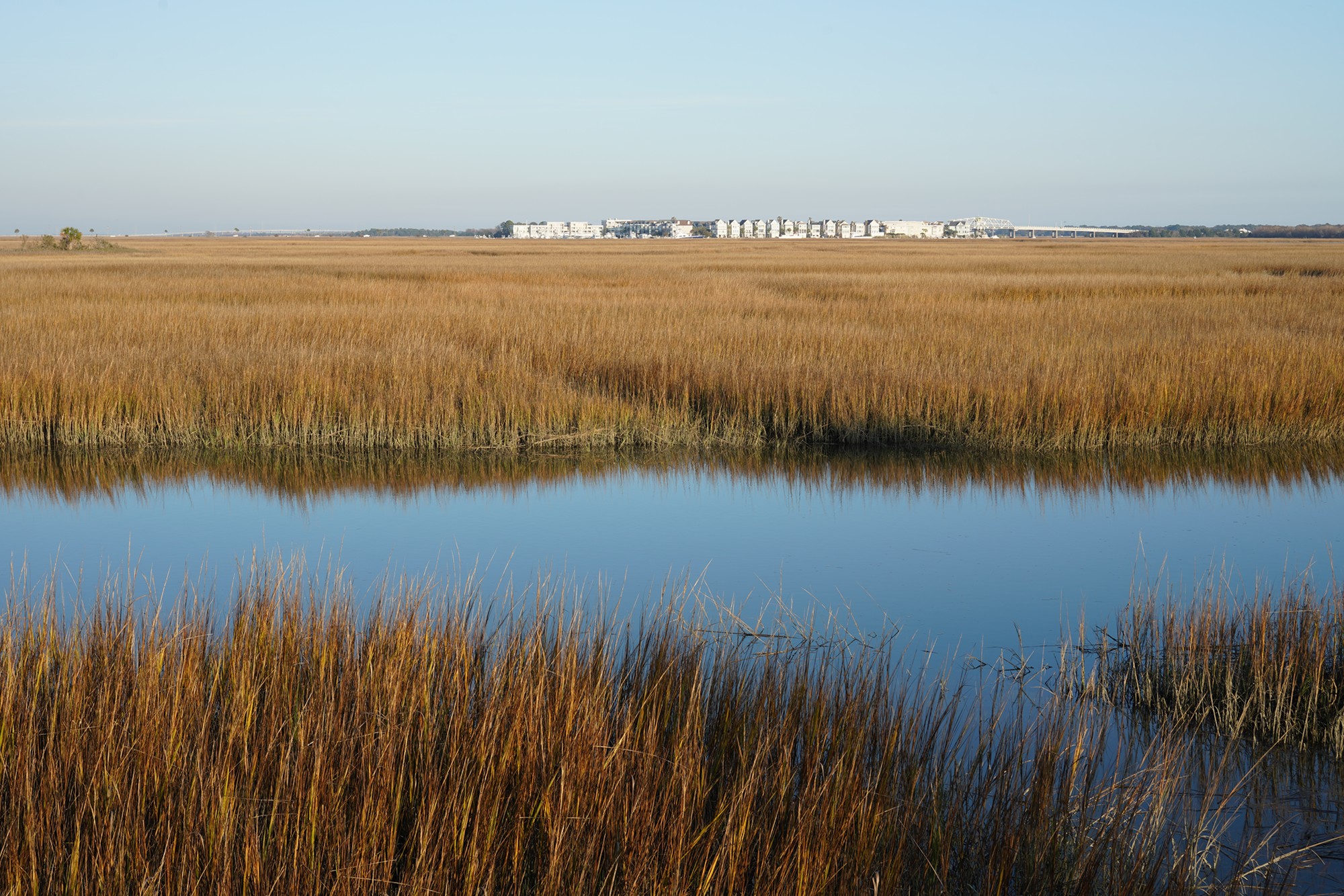 Pitt Street Bridge (7)