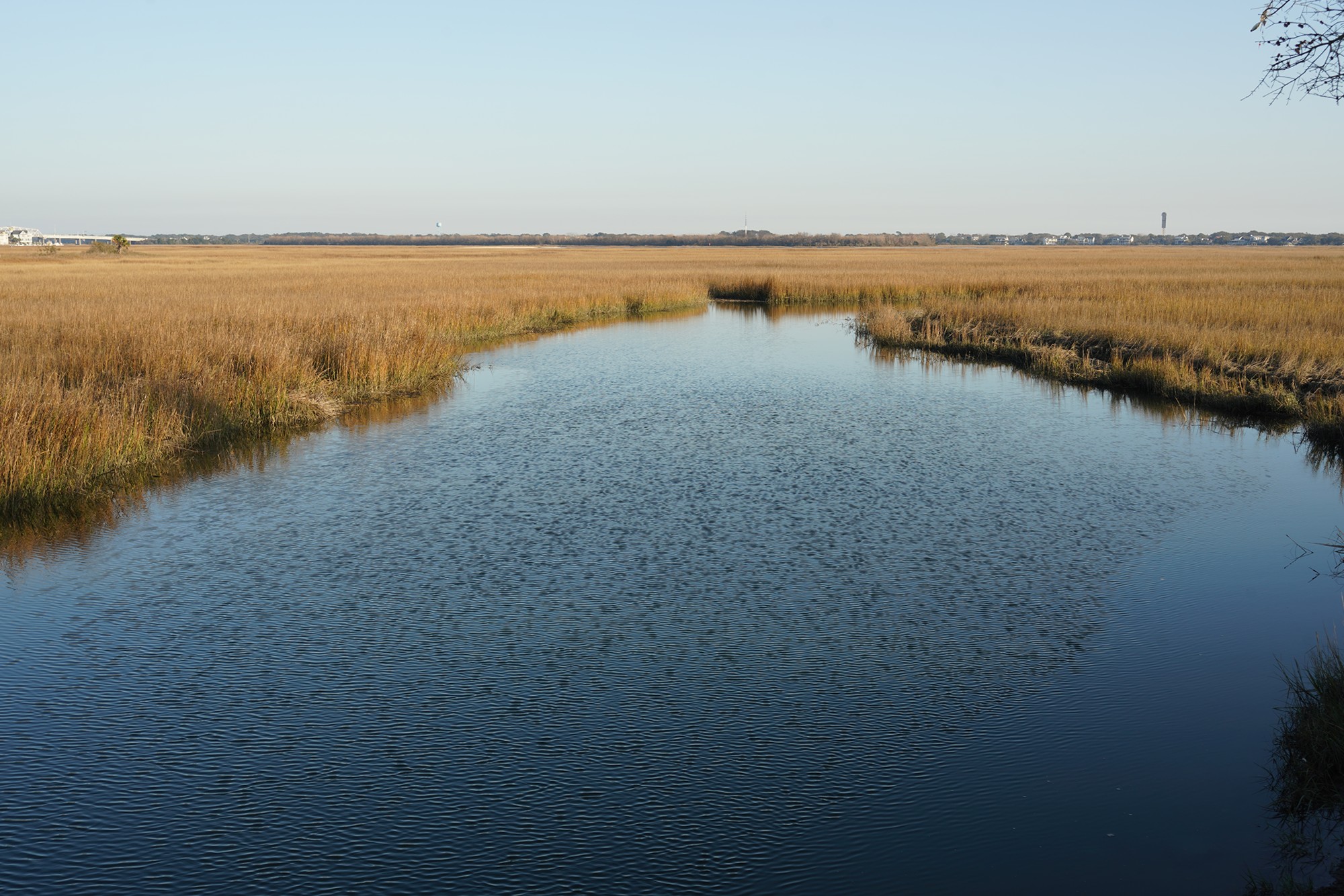 Pitt Street Bridge (8)