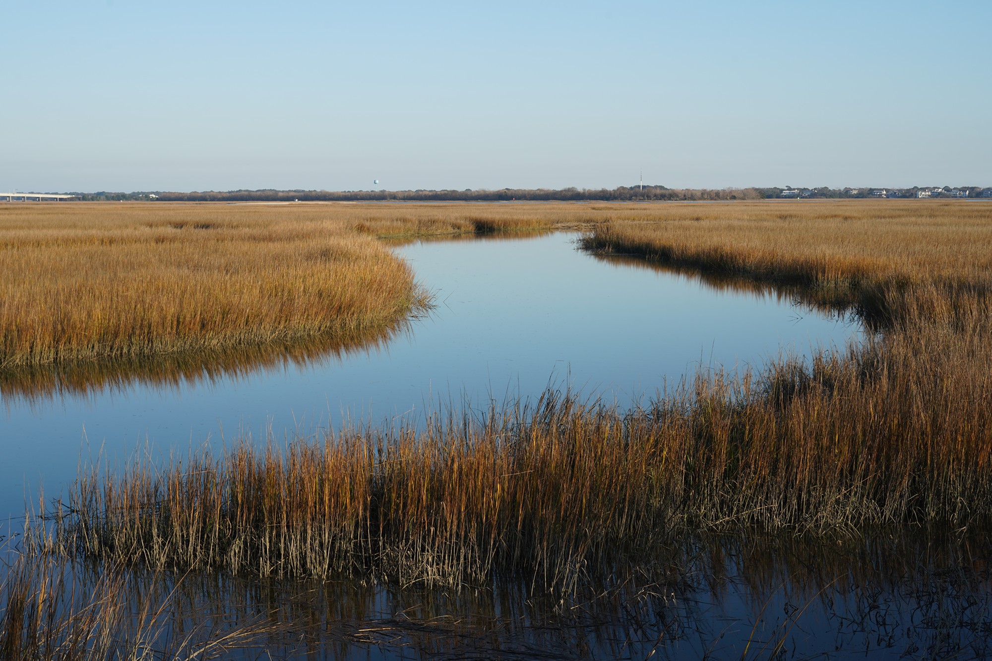Pitt Street Bridge (9)
