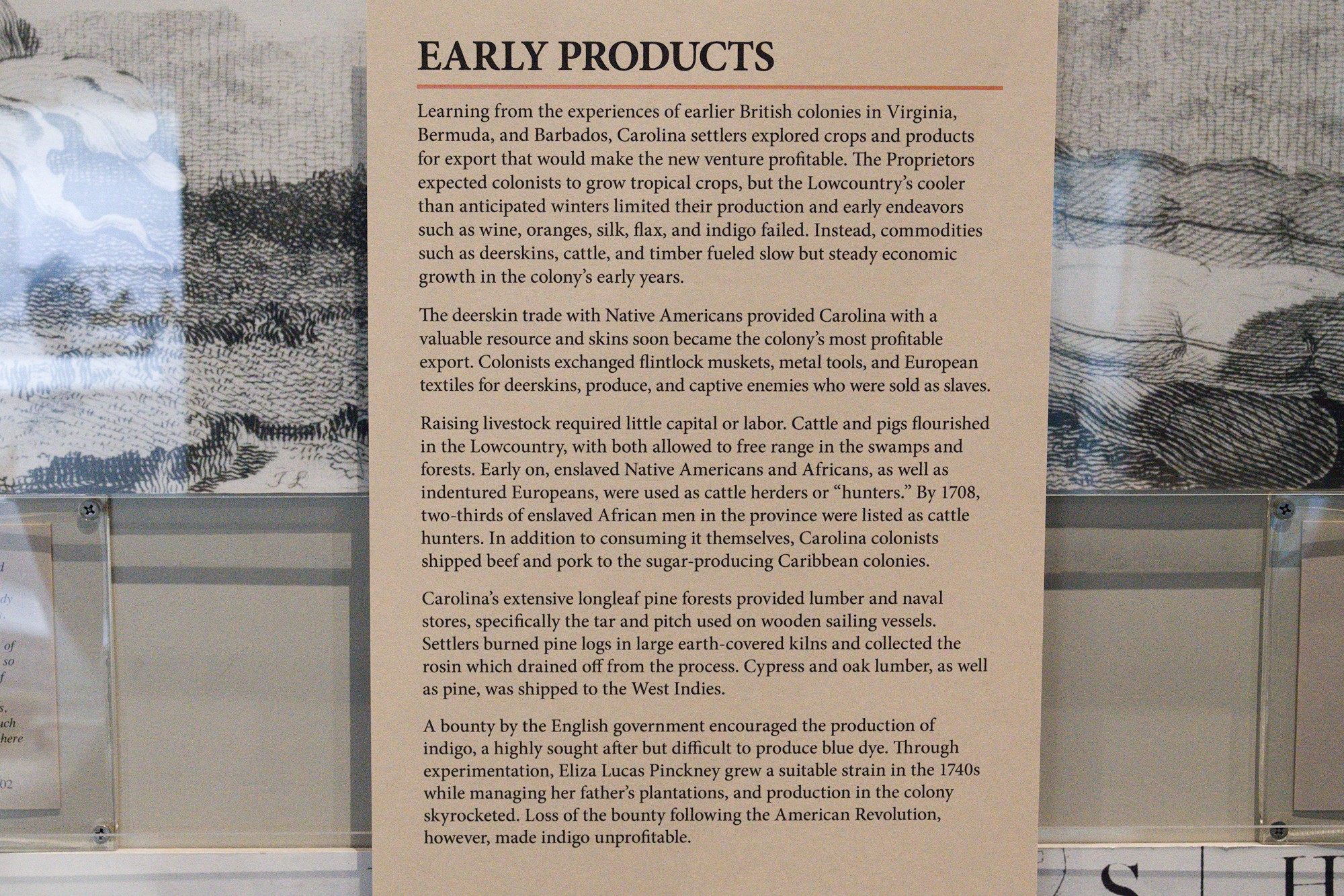 The Charleston Museum (16)