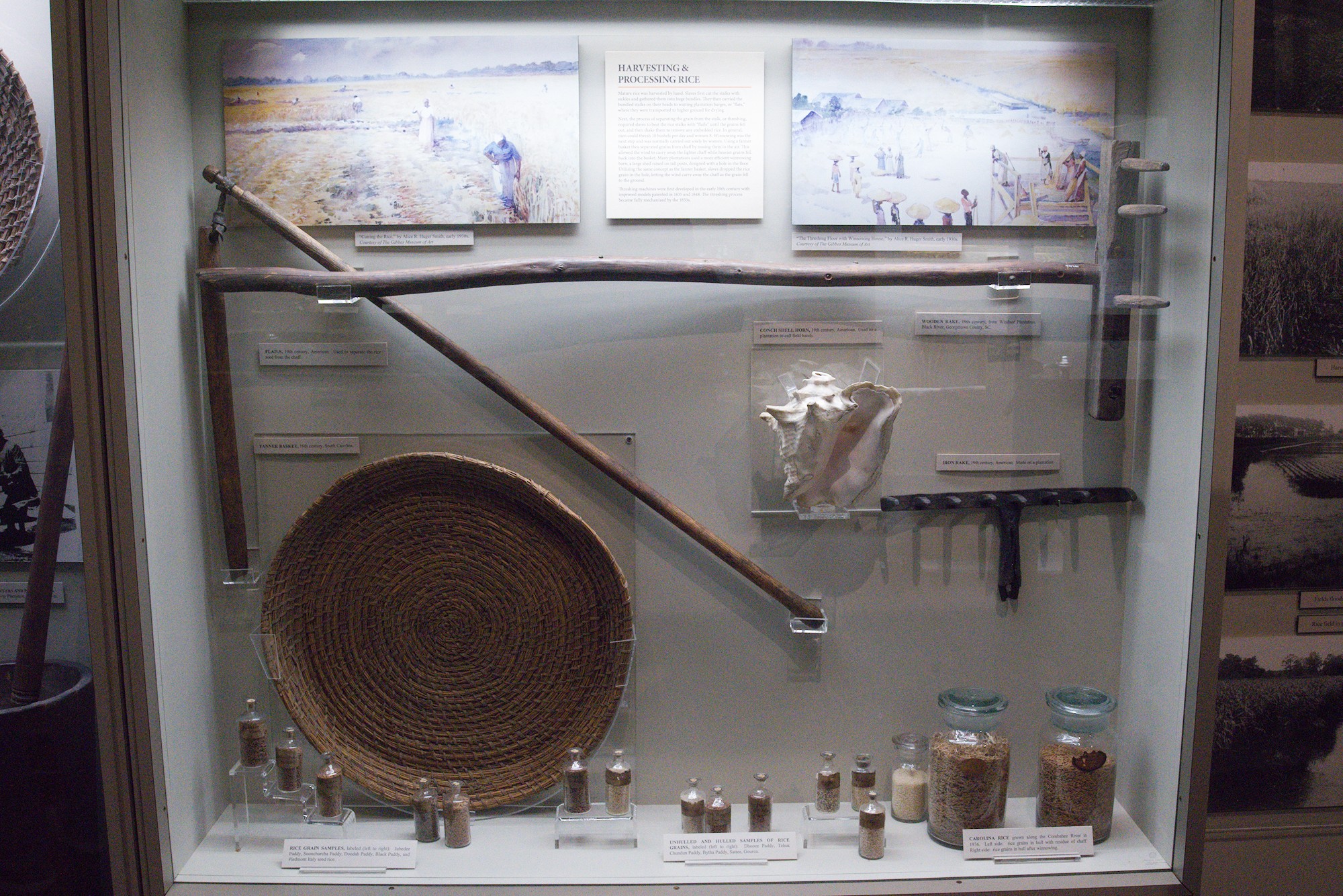 The Charleston Museum (22)
