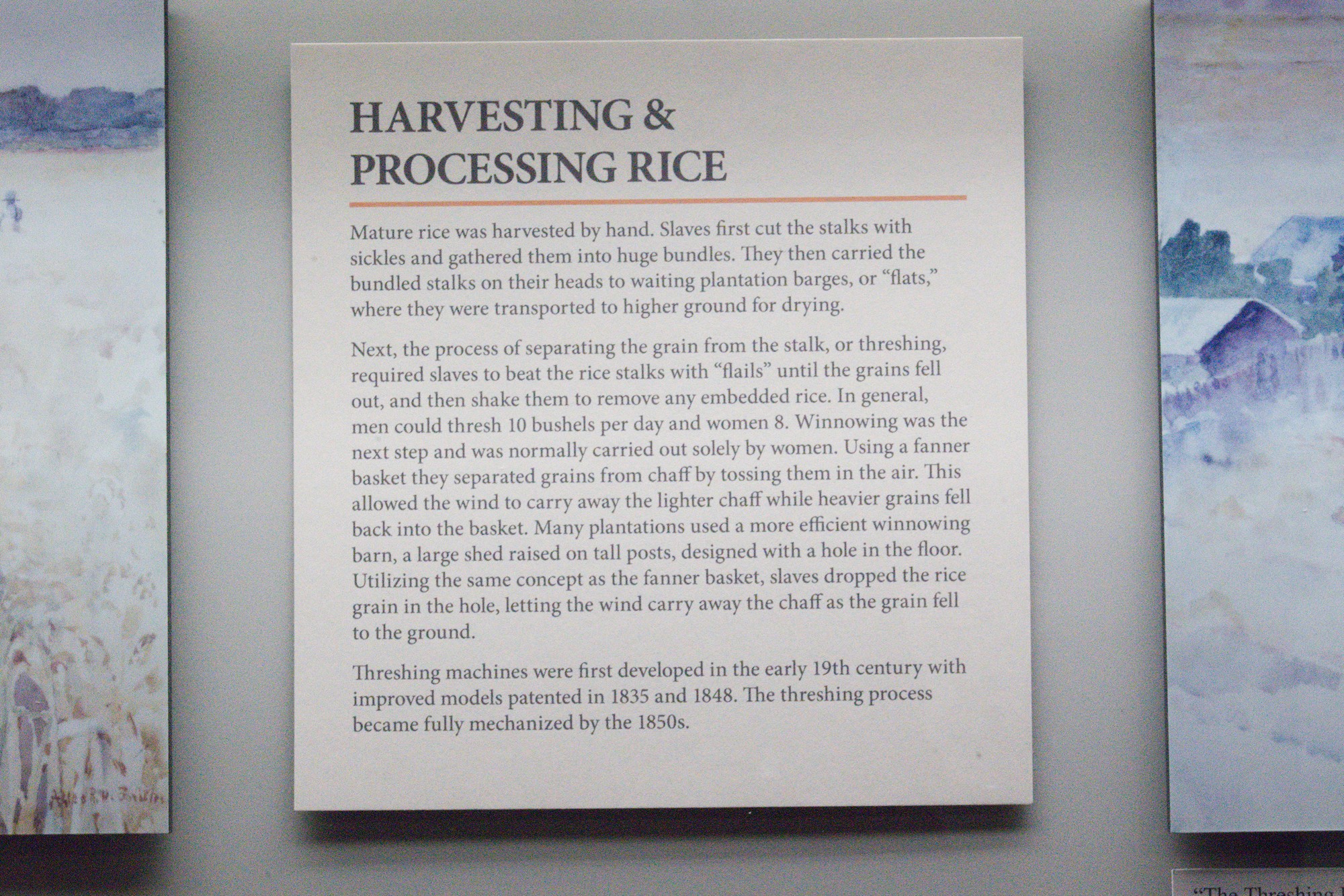 The Charleston Museum (23)