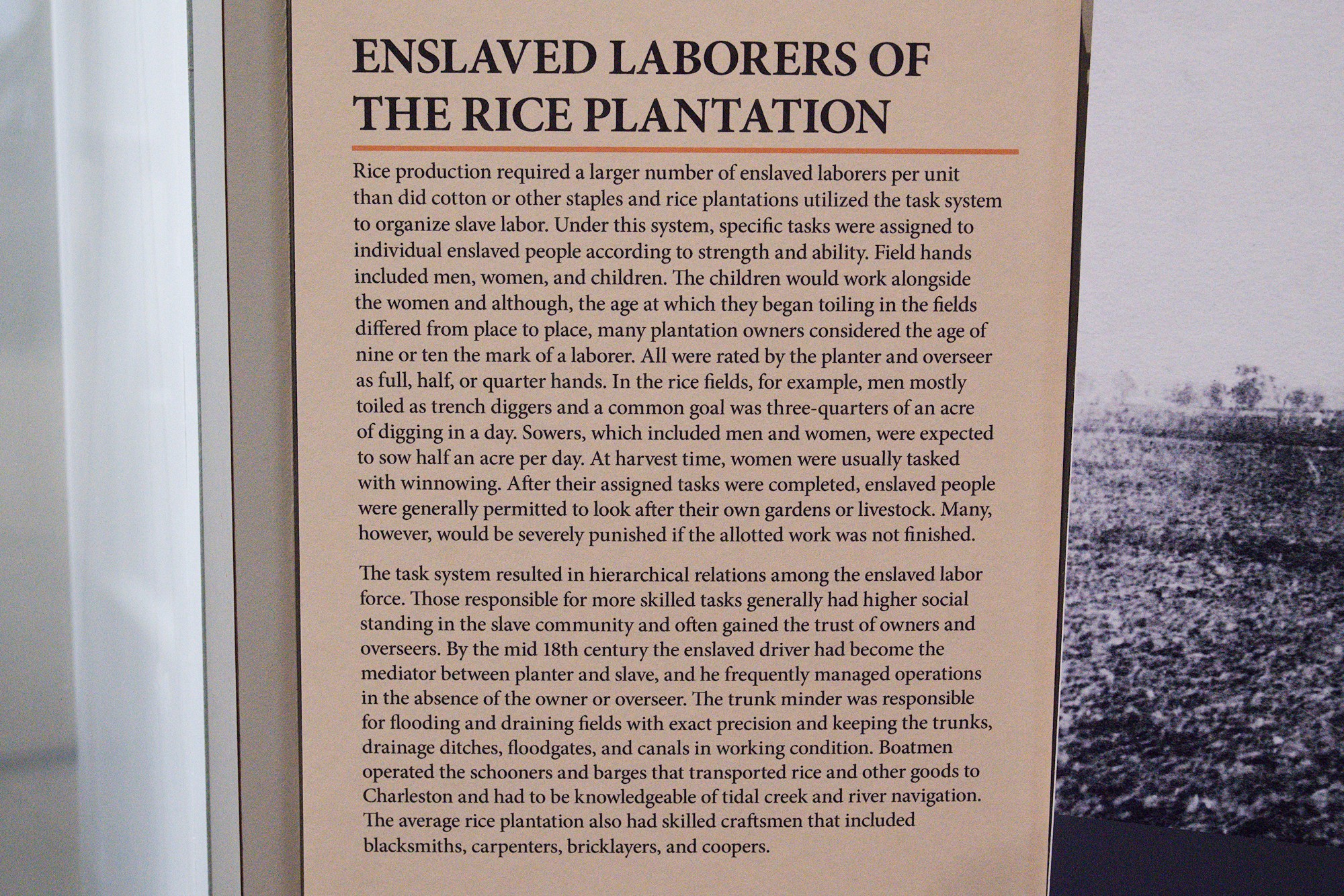 The Charleston Museum (25)