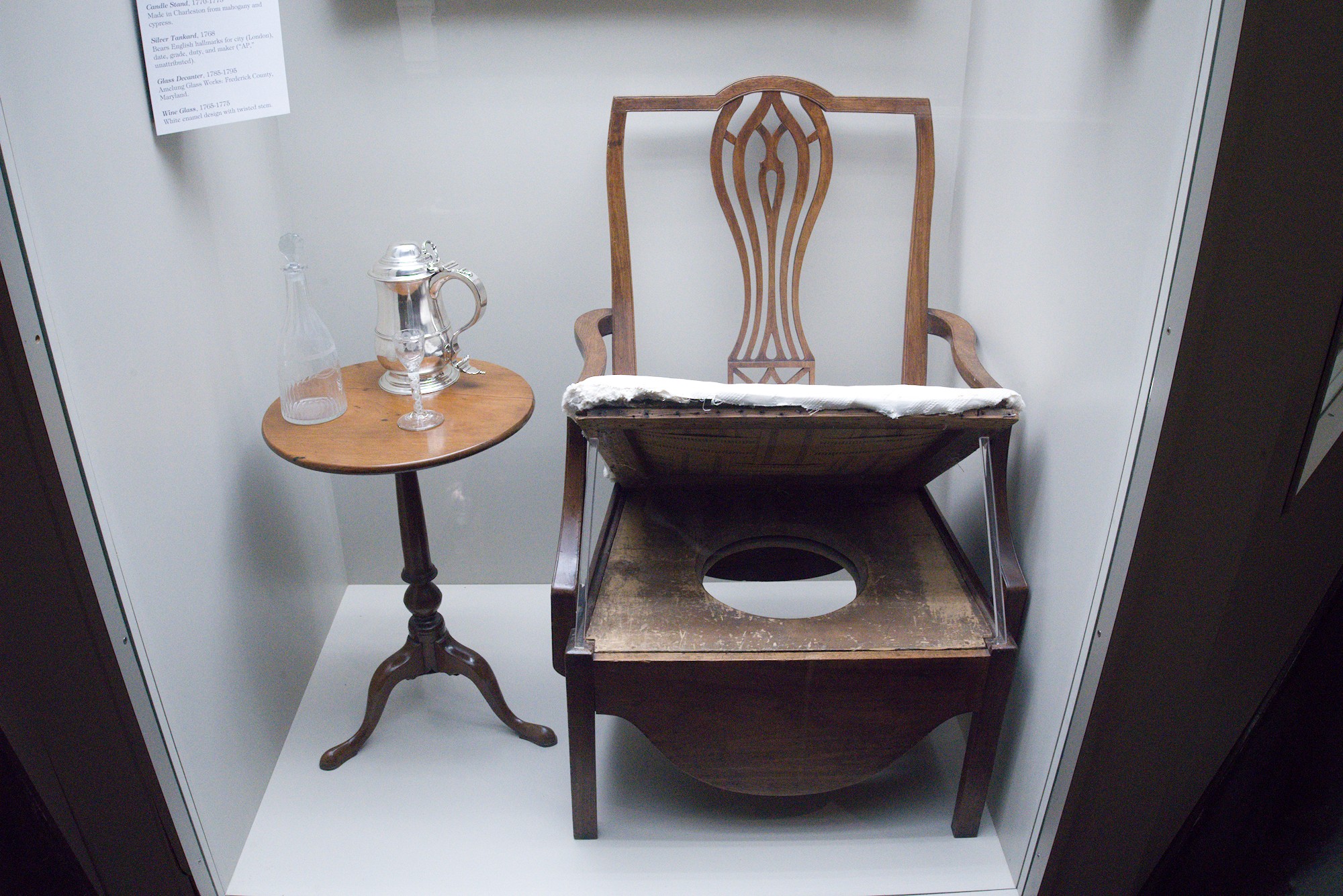 The Charleston Museum (26)