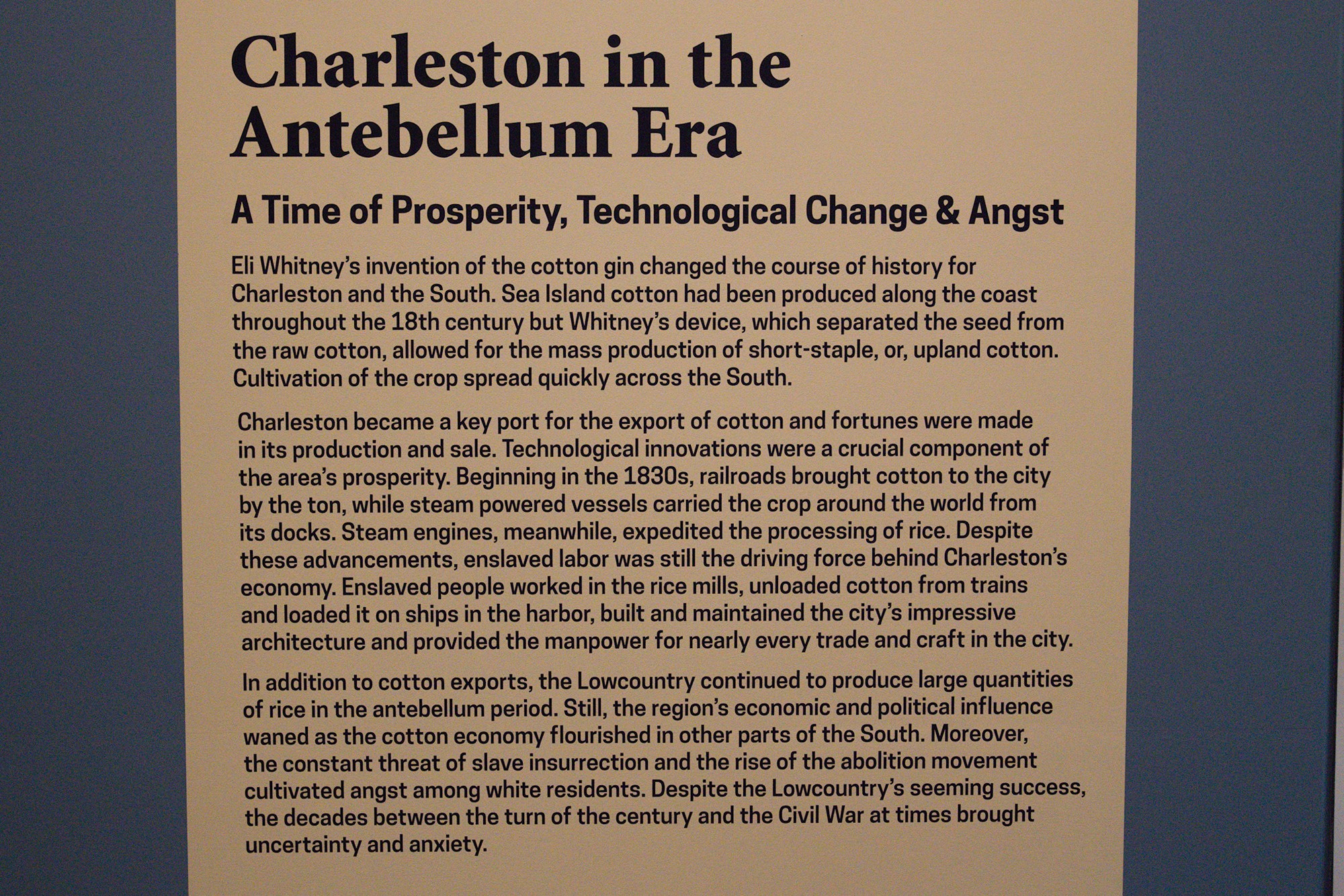 The Charleston Museum (52)