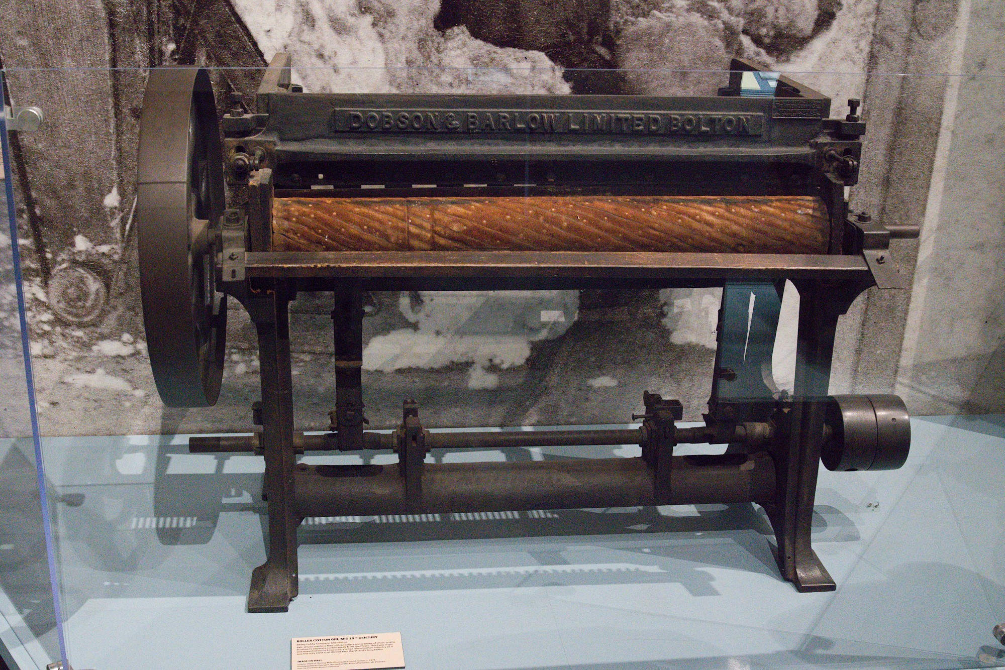 The Charleston Museum (57)