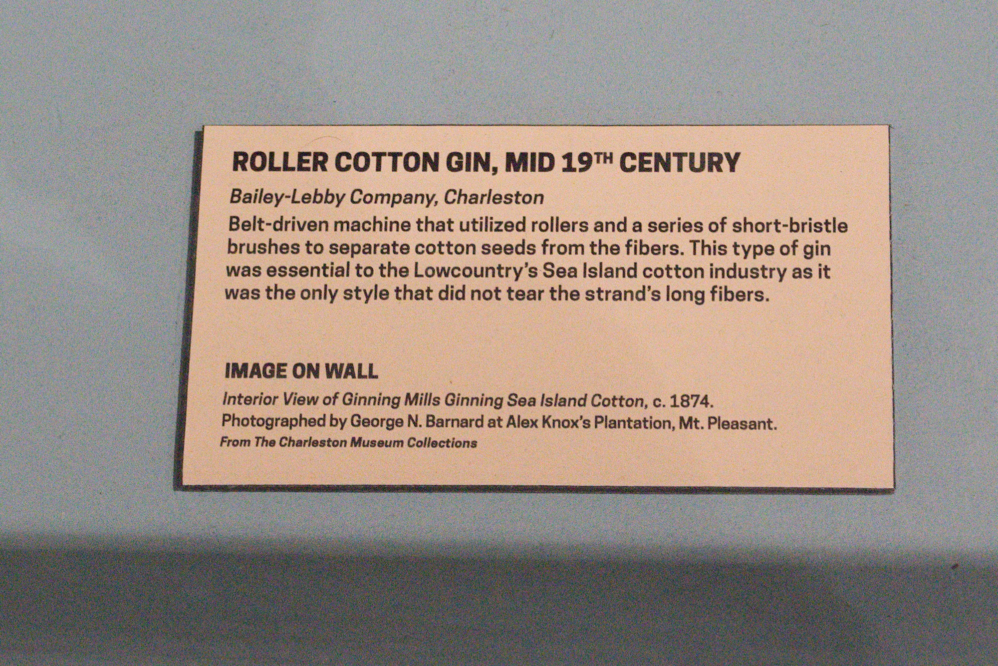 The Charleston Museum (58)