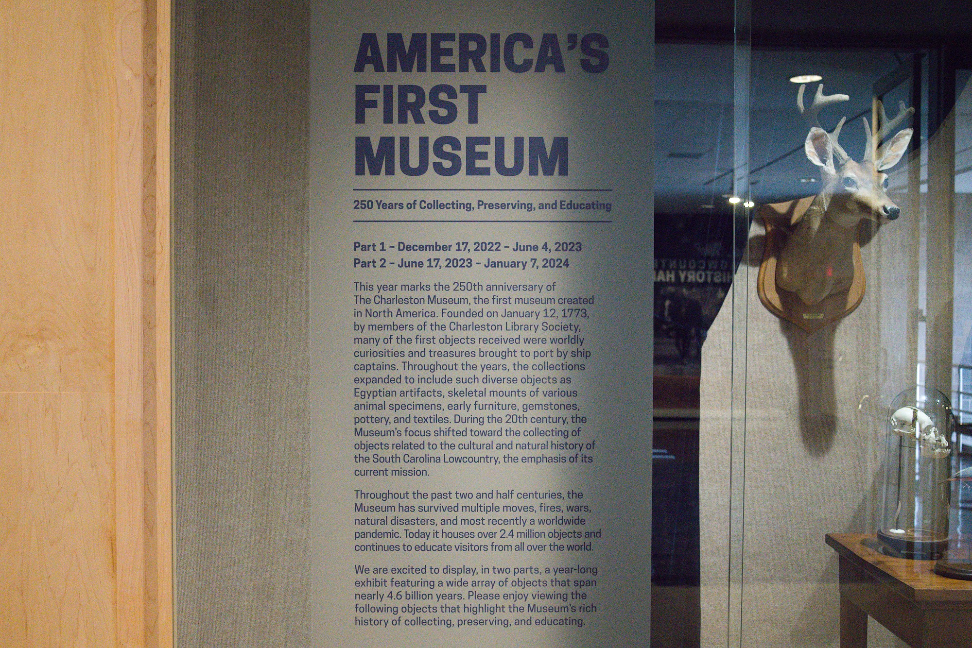 The Charleston Museum (6)