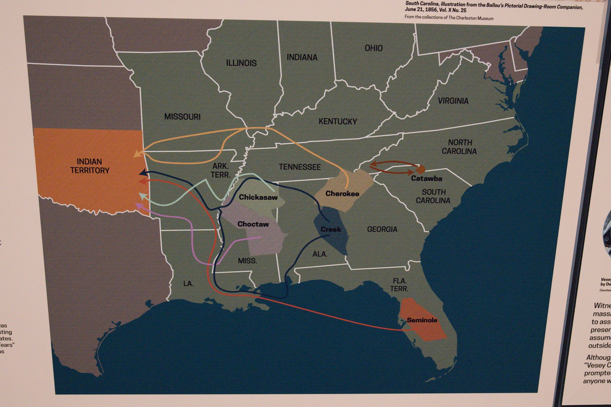 The Charleston Museum (65)