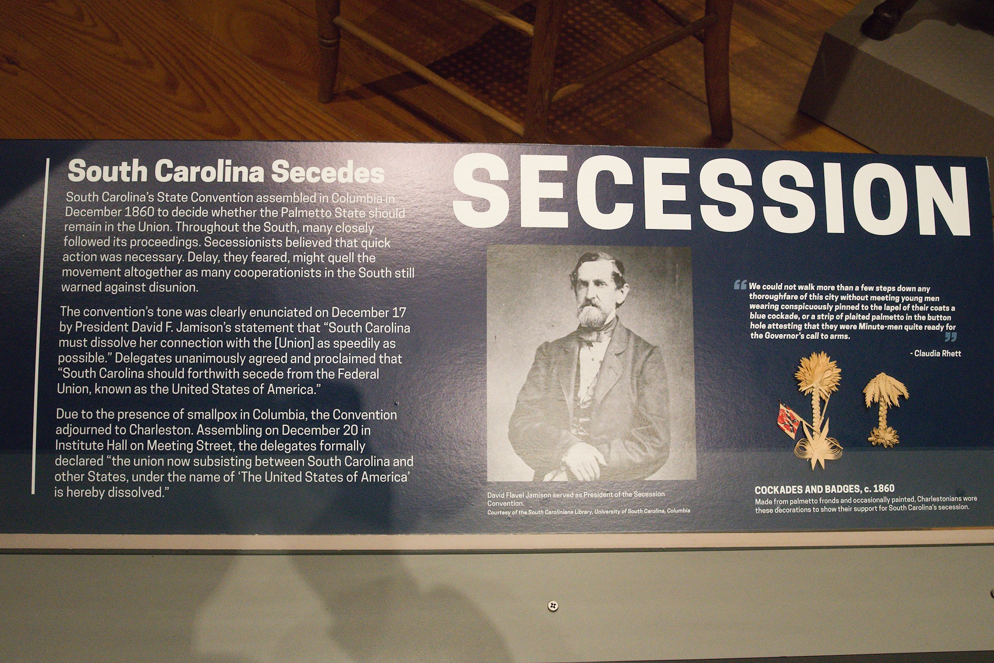 The Charleston Museum (81)