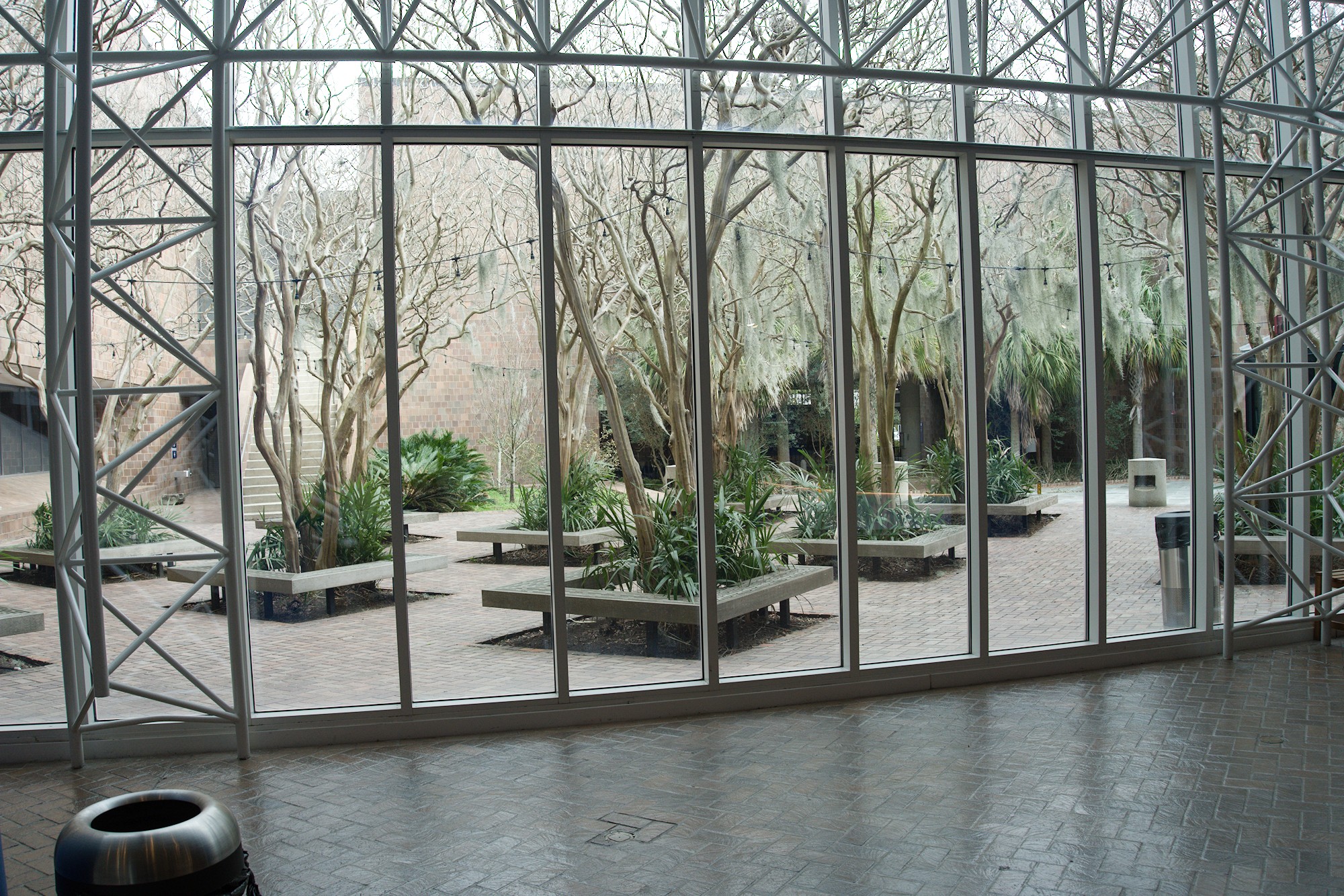 The Charleston Museum (98)