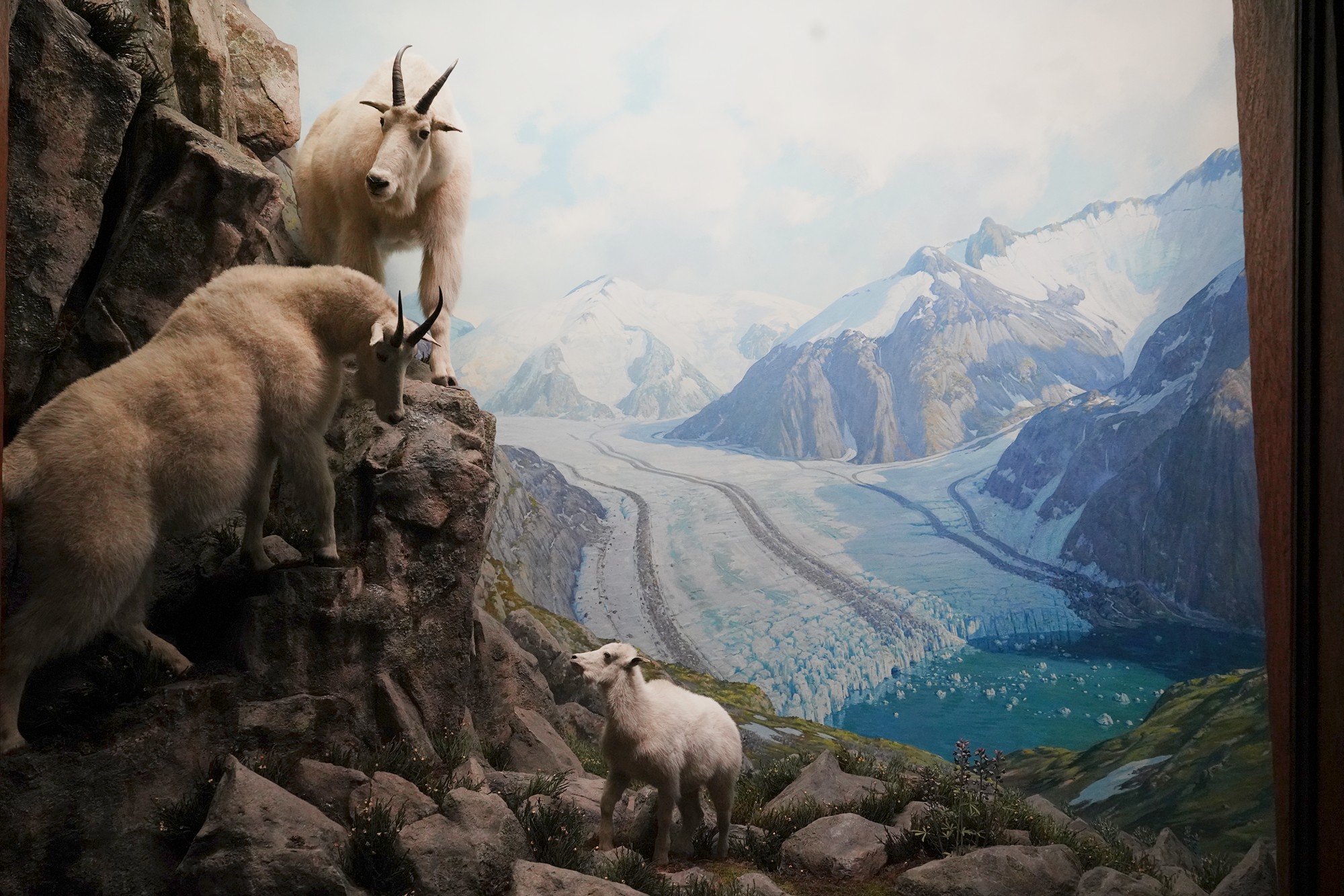 Amerian Museum of Natural History - Earth (10)