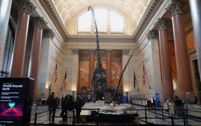 American Museum of Natural History – Earth, New York, NY, USA