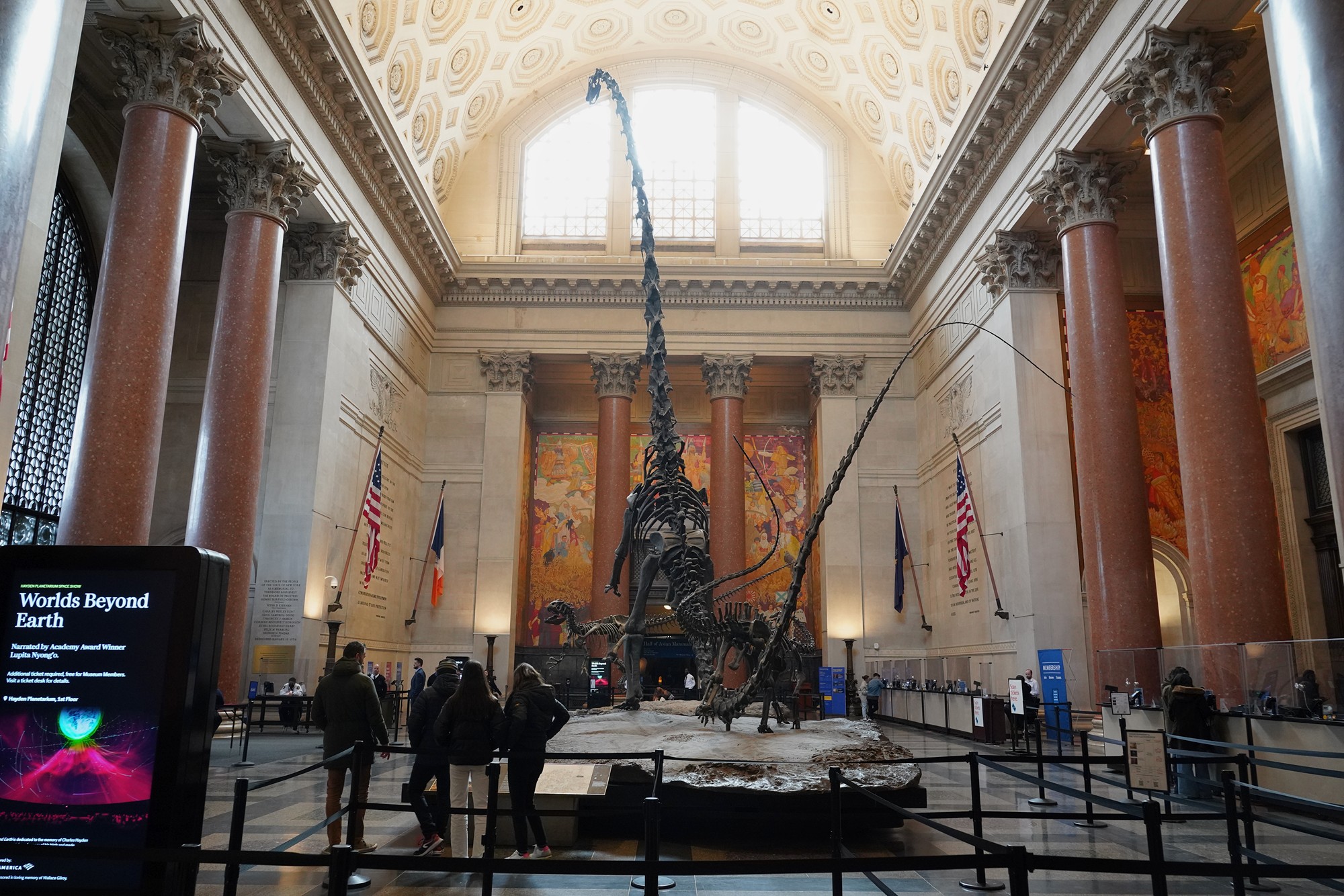 Amerian Museum of Natural History - Earth (100)