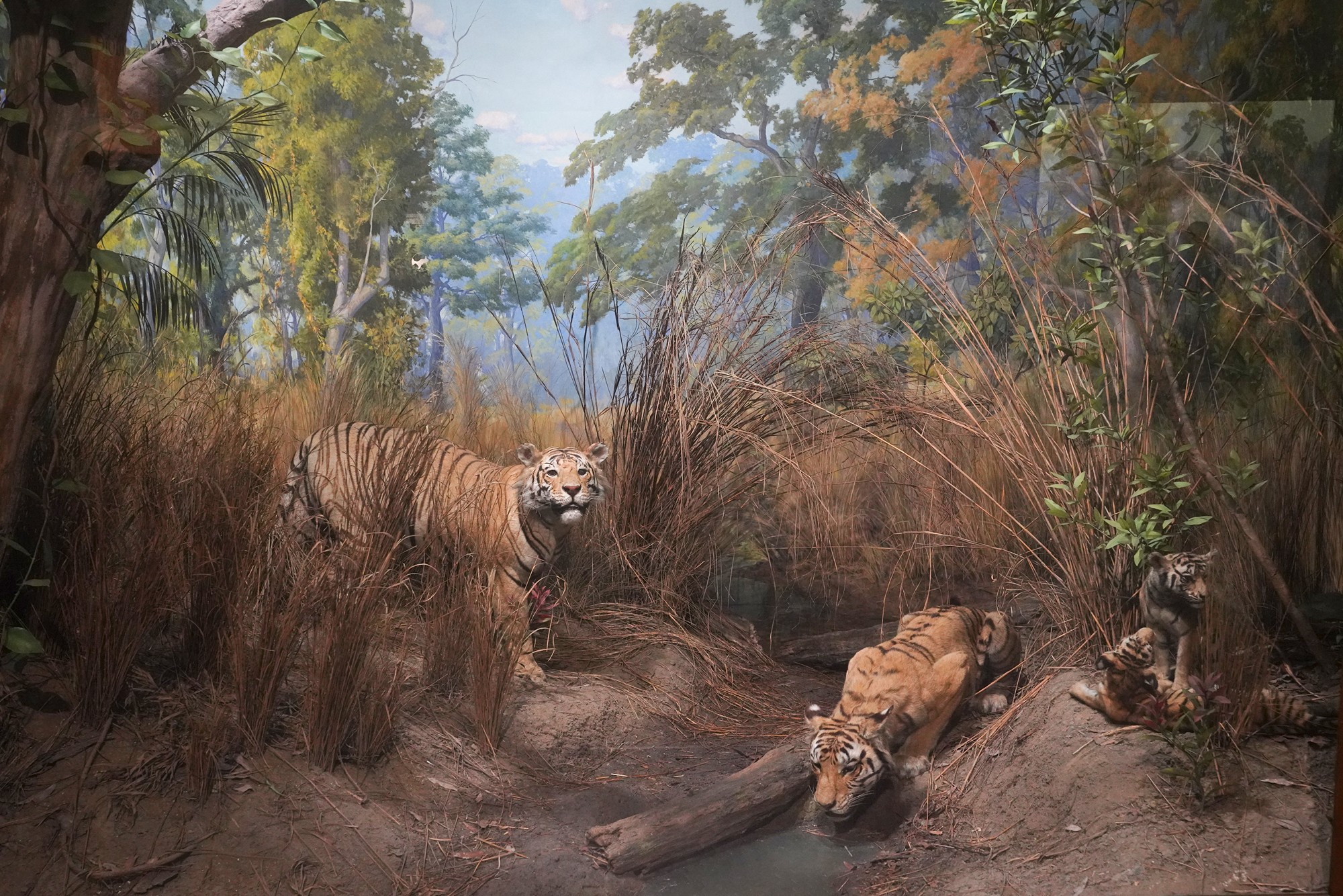 Amerian Museum of Natural History - Earth (11)