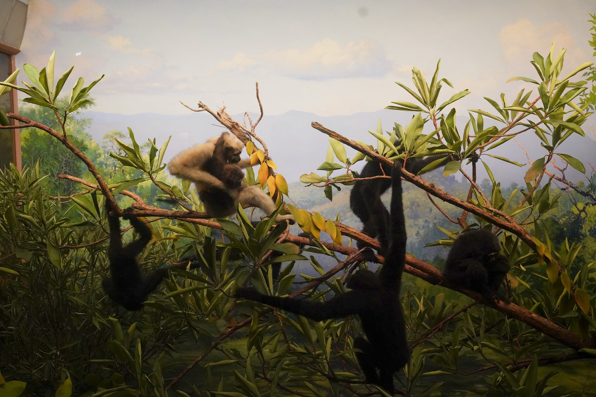 Amerian Museum of Natural History - Earth (13)