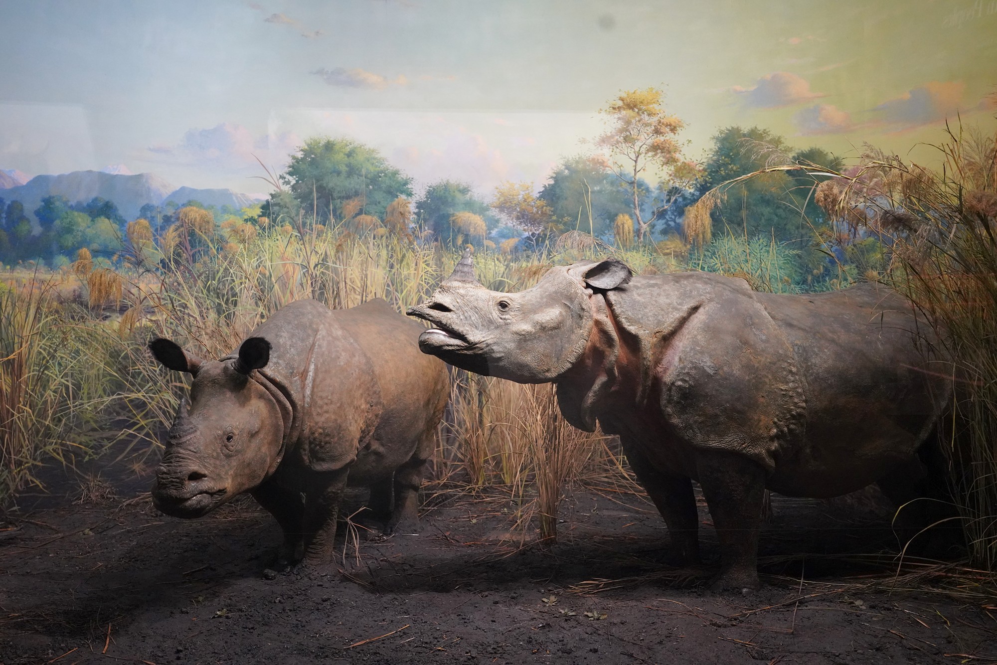 Amerian Museum of Natural History - Earth (14)