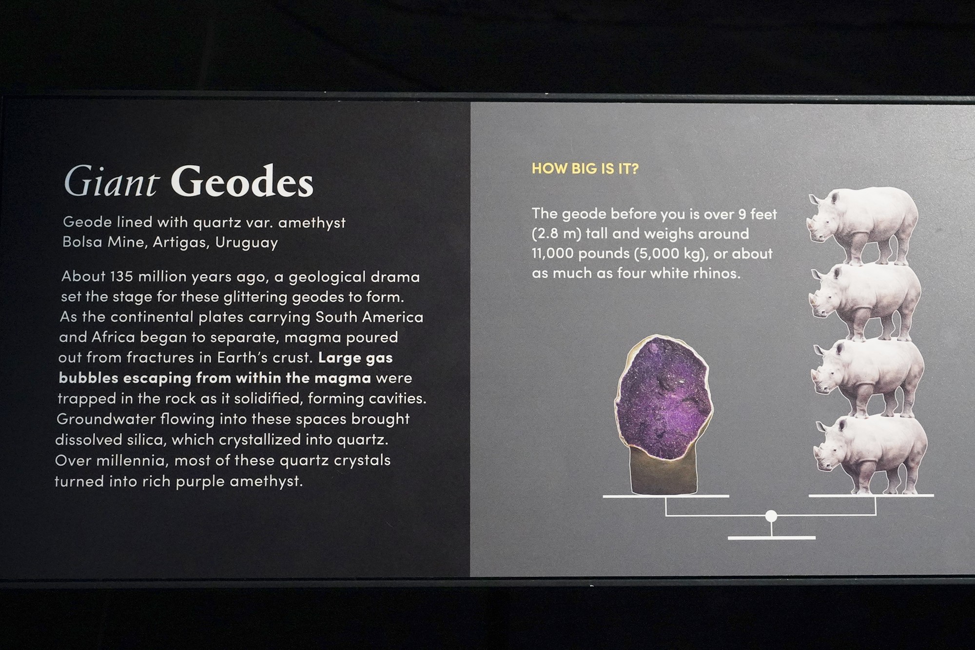 Amerian Museum of Natural History - Earth (25)