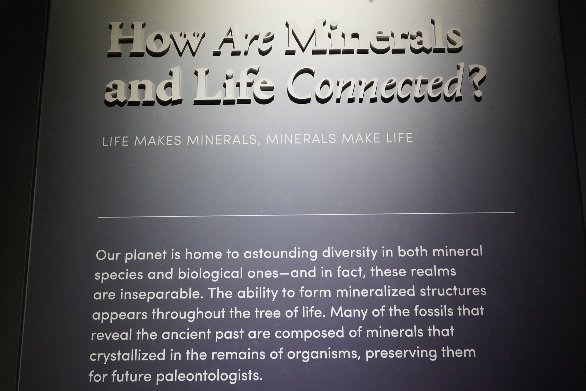 Amerian Museum of Natural History - Earth (27)