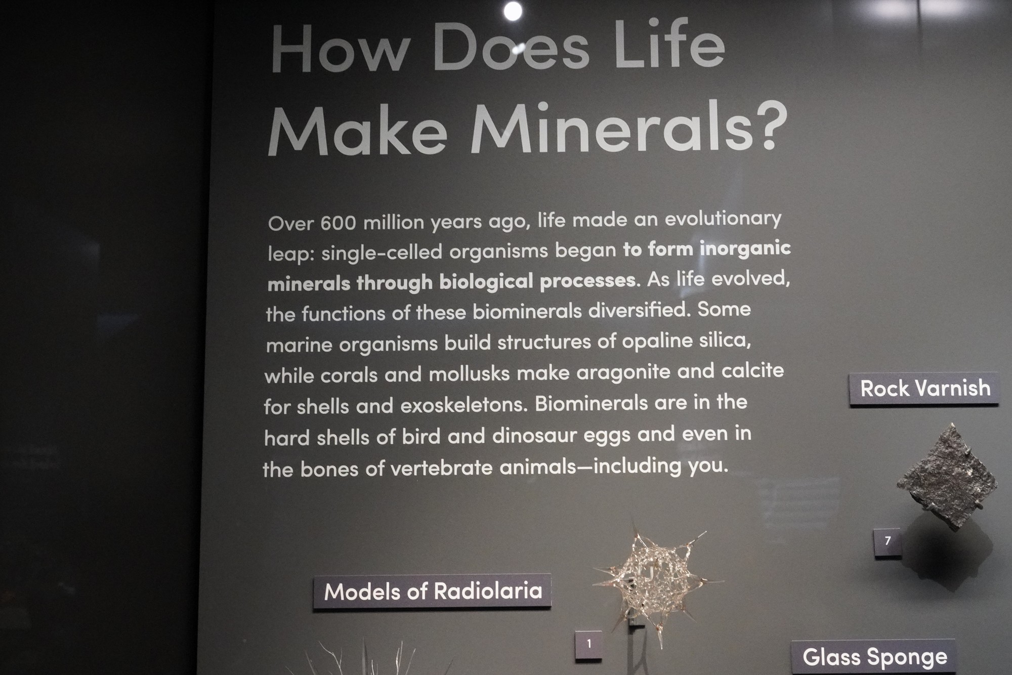 Amerian Museum of Natural History - Earth (28)