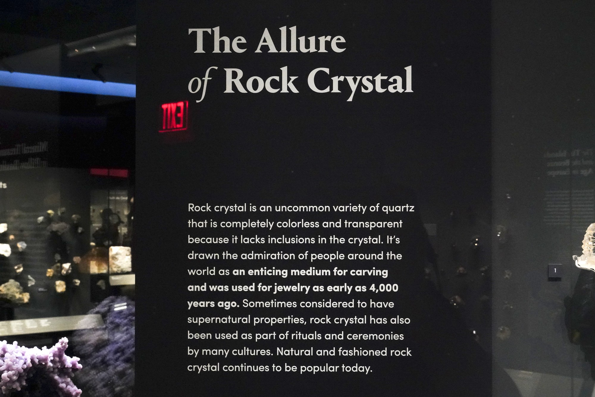 Amerian Museum of Natural History - Earth (30)