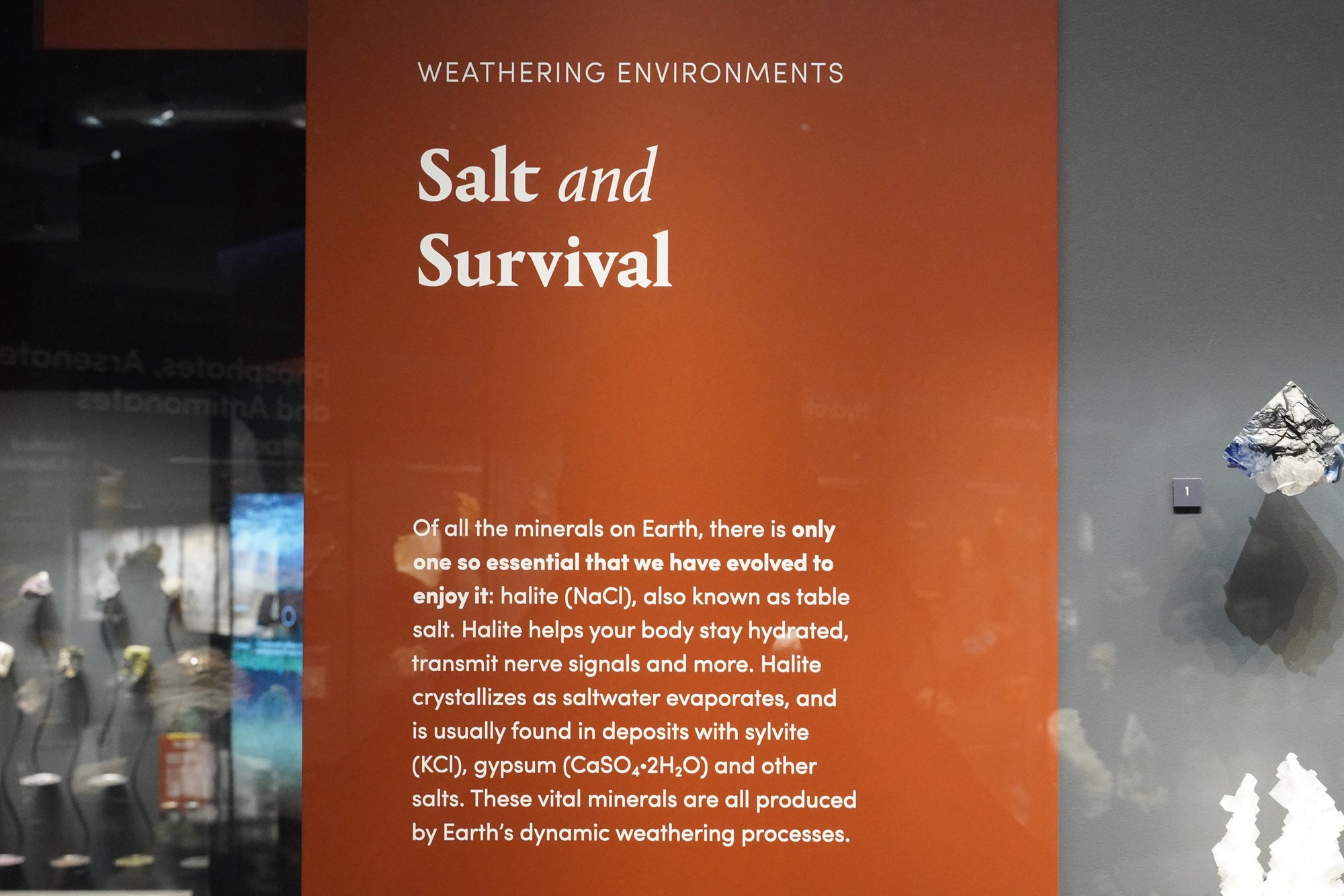 Amerian Museum of Natural History - Earth (34)