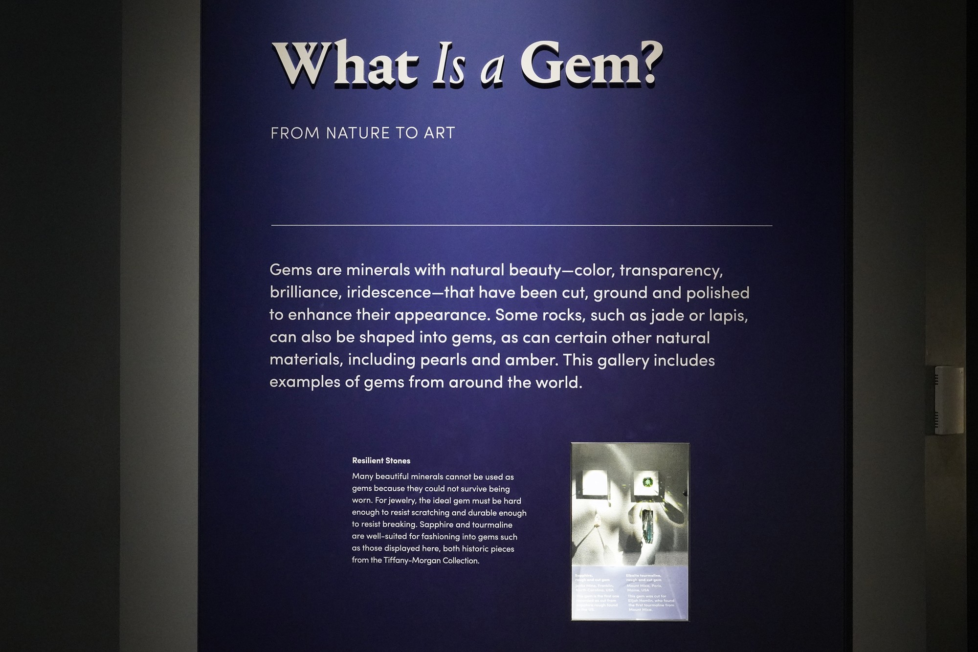 Amerian Museum of Natural History - Earth (39)