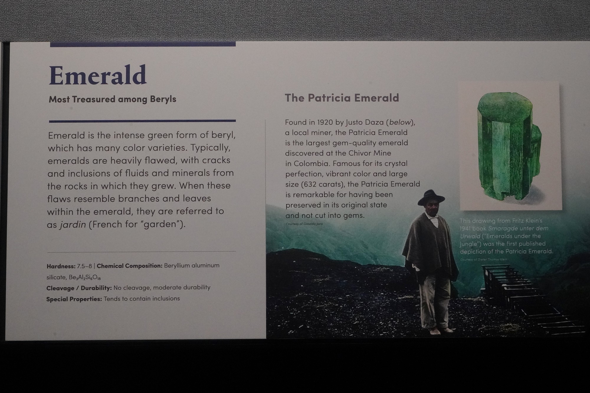 Amerian Museum of Natural History - Earth (44)