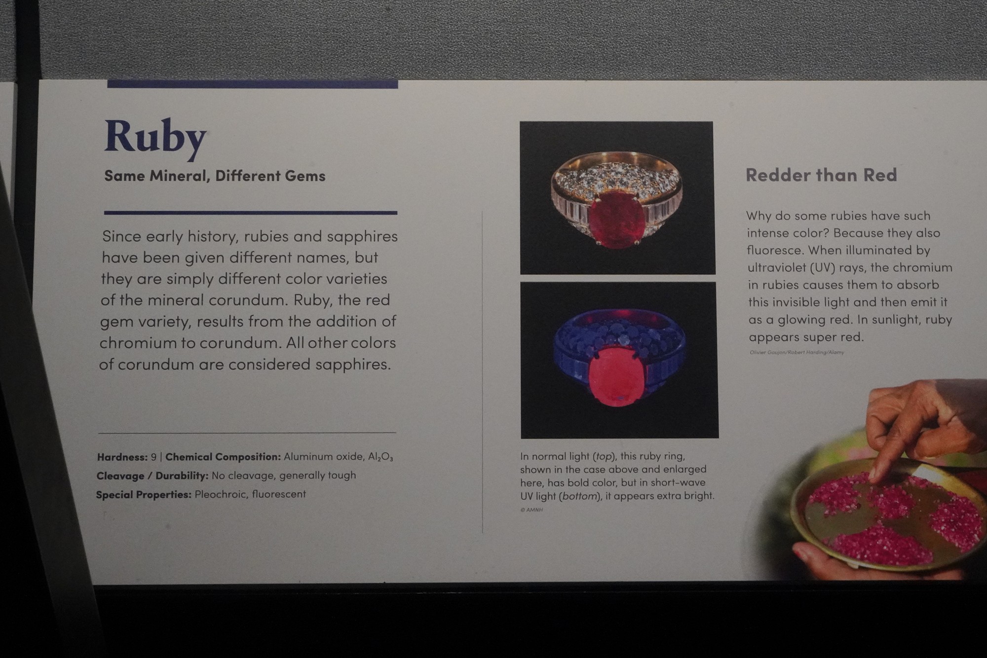 Amerian Museum of Natural History - Earth (46)