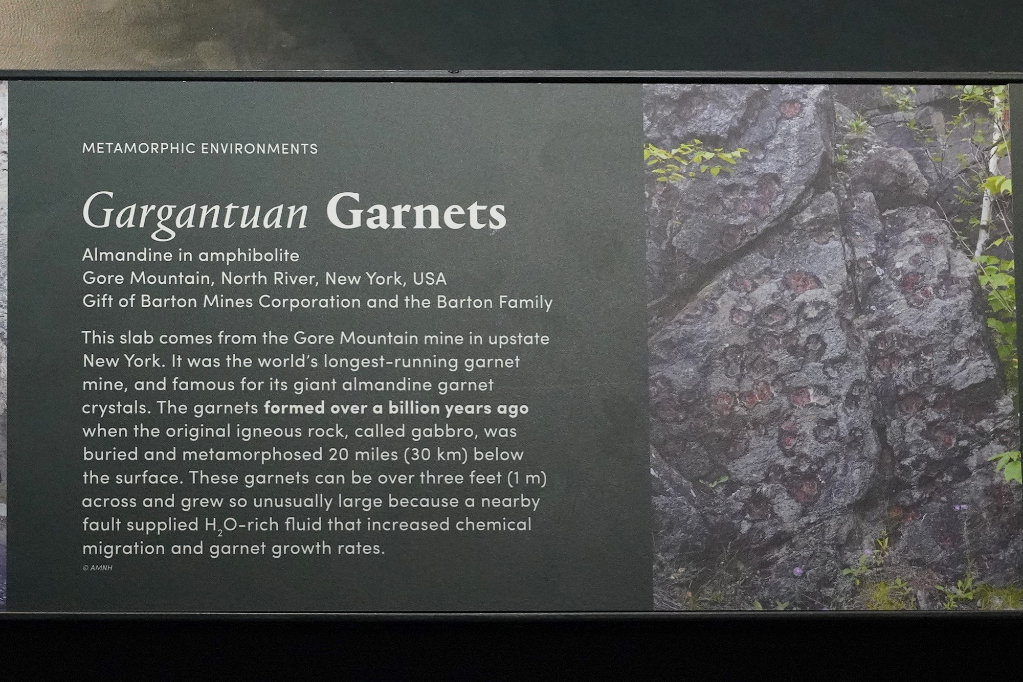 Amerian Museum of Natural History - Earth (57)
