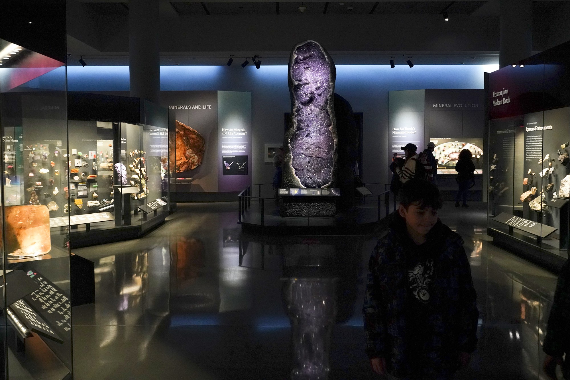 Amerian Museum of Natural History - Earth (58)