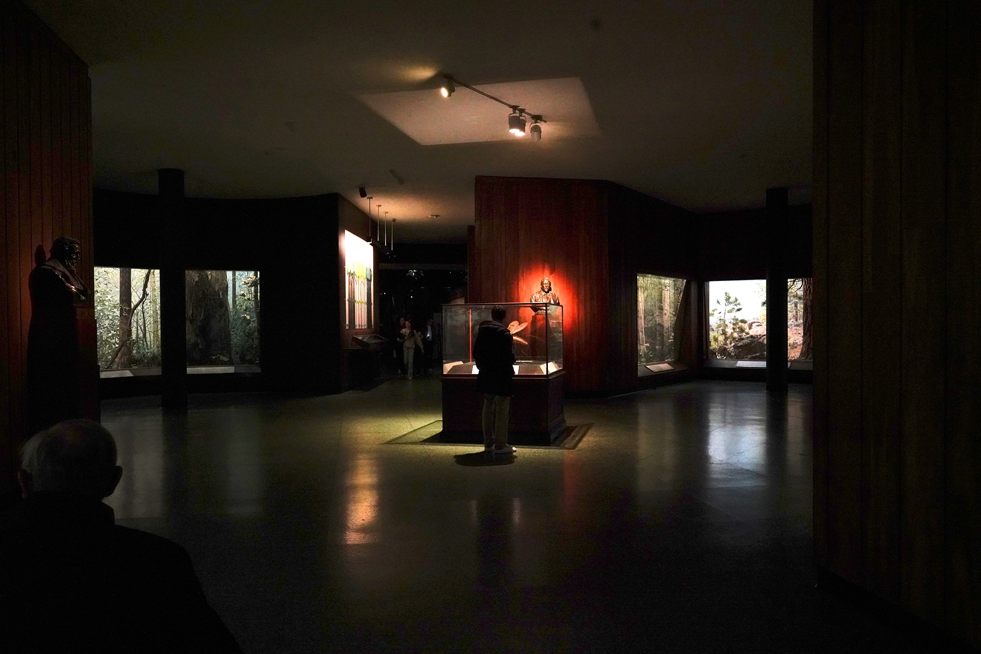 Amerian Museum of Natural History - Earth (61)