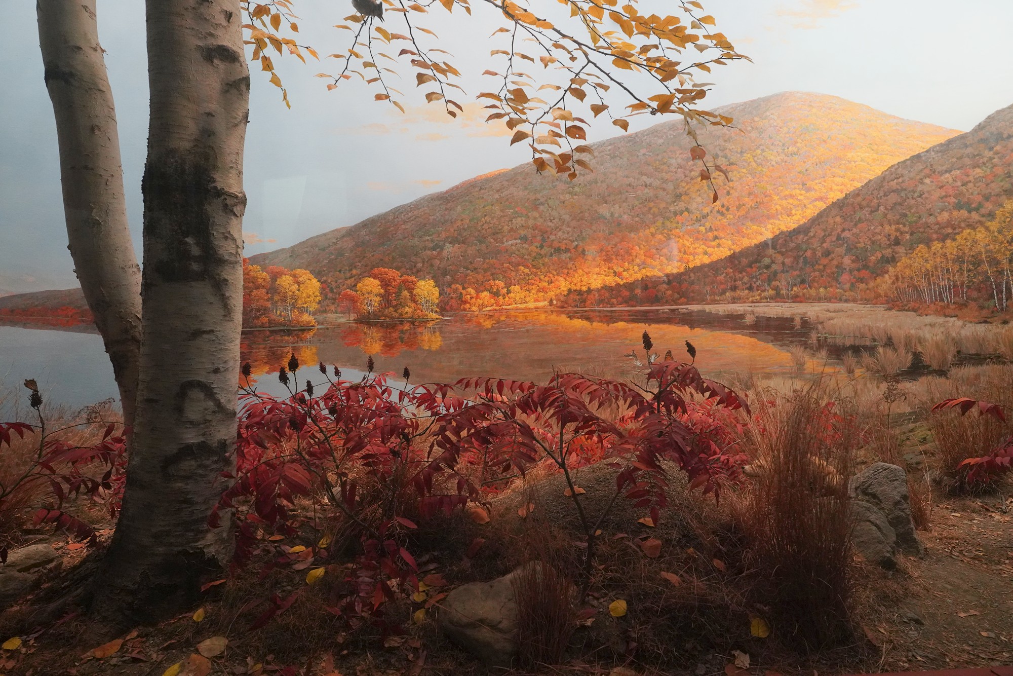Amerian Museum of Natural History - Earth (62)